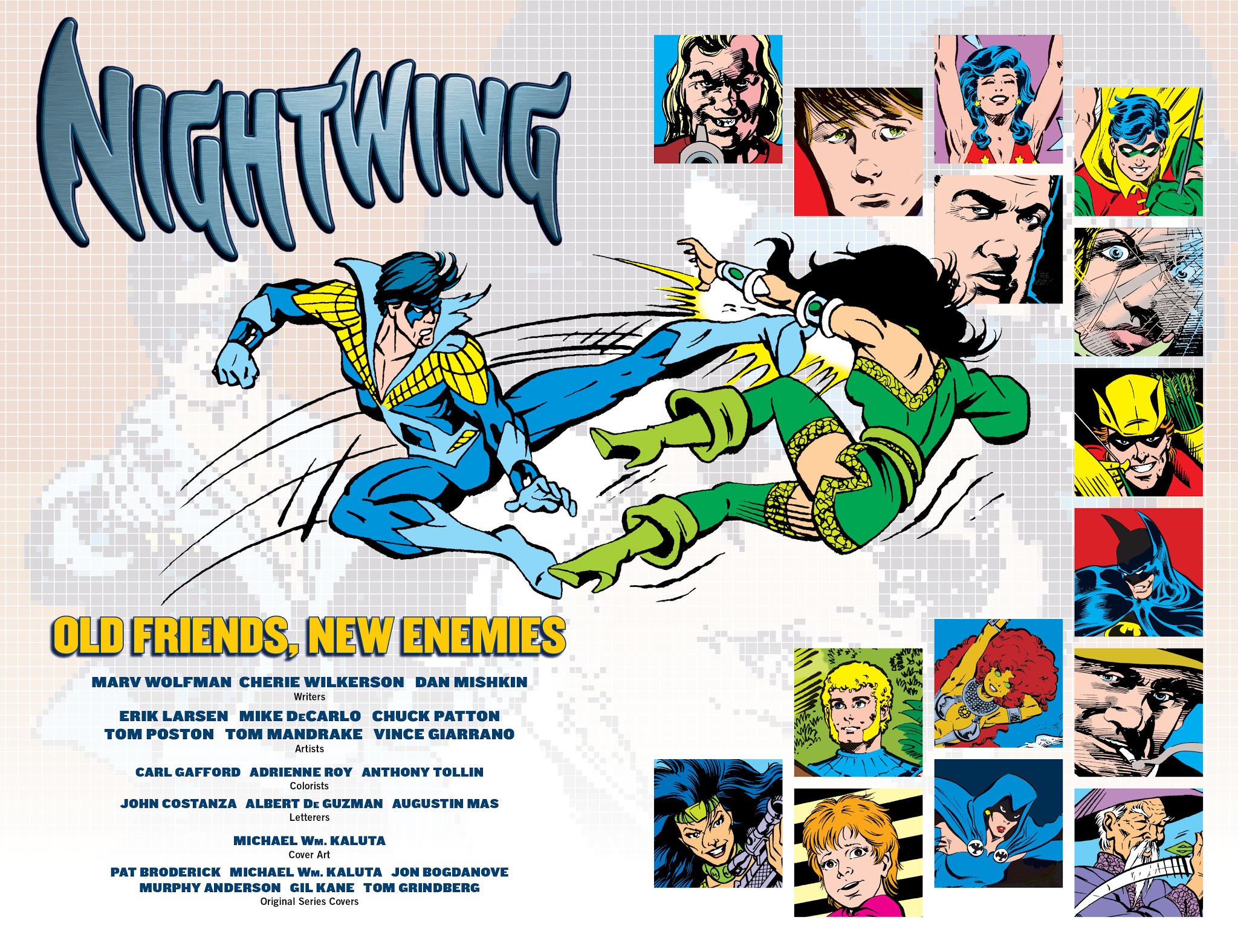 Read online Nightwing: Old Friends, New Enemies comic -  Issue # TPB - 4