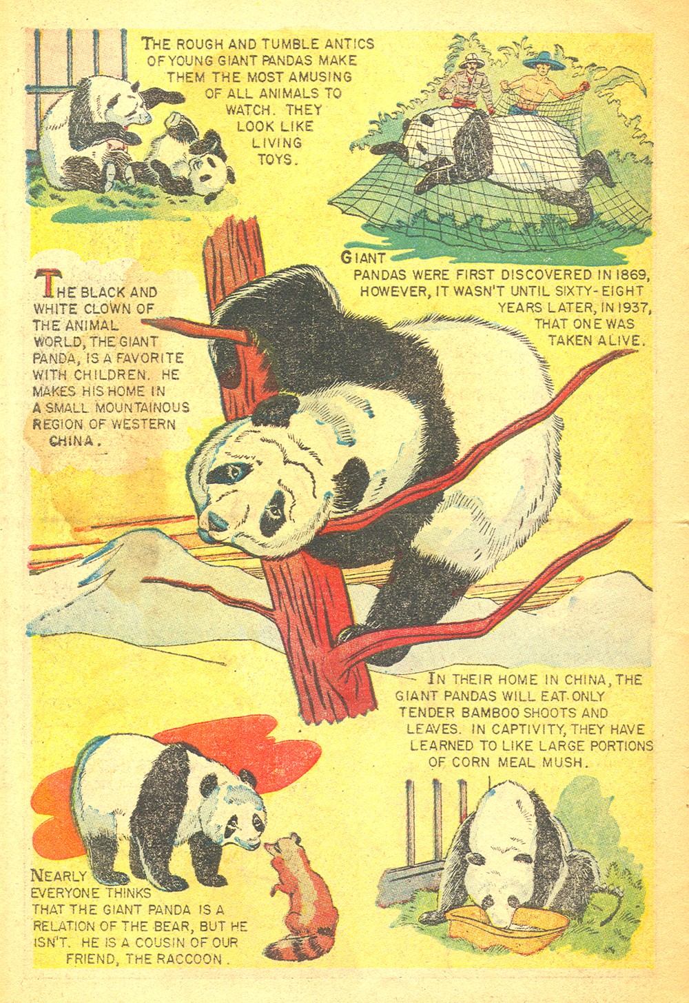 Read online Classics Illustrated Junior comic -  Issue #503 - 34