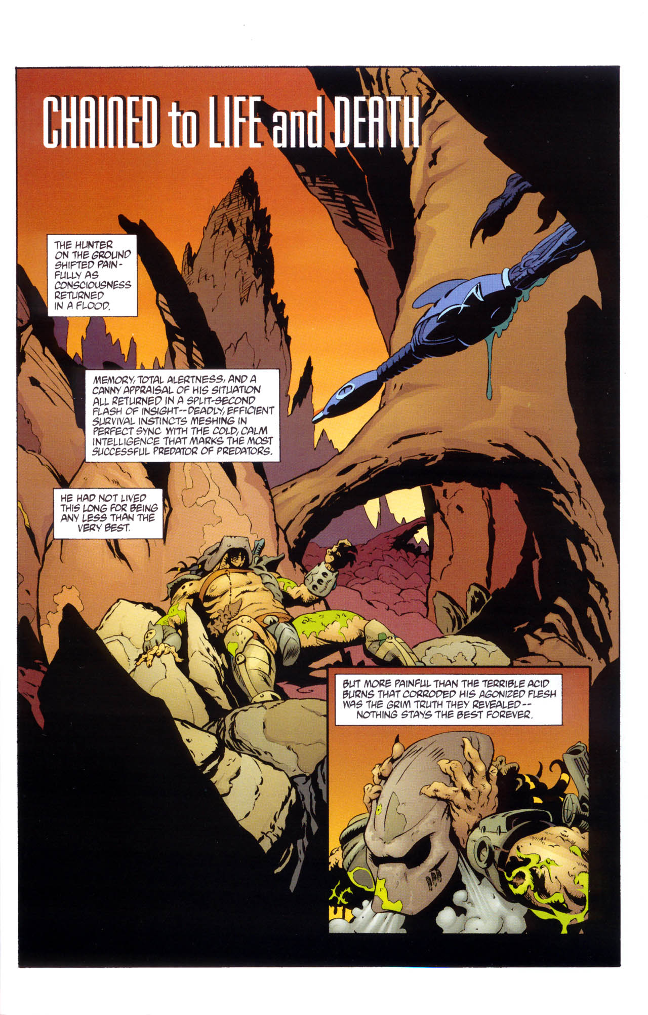 Read online Aliens vs. Predator Annual comic -  Issue # Full - 31
