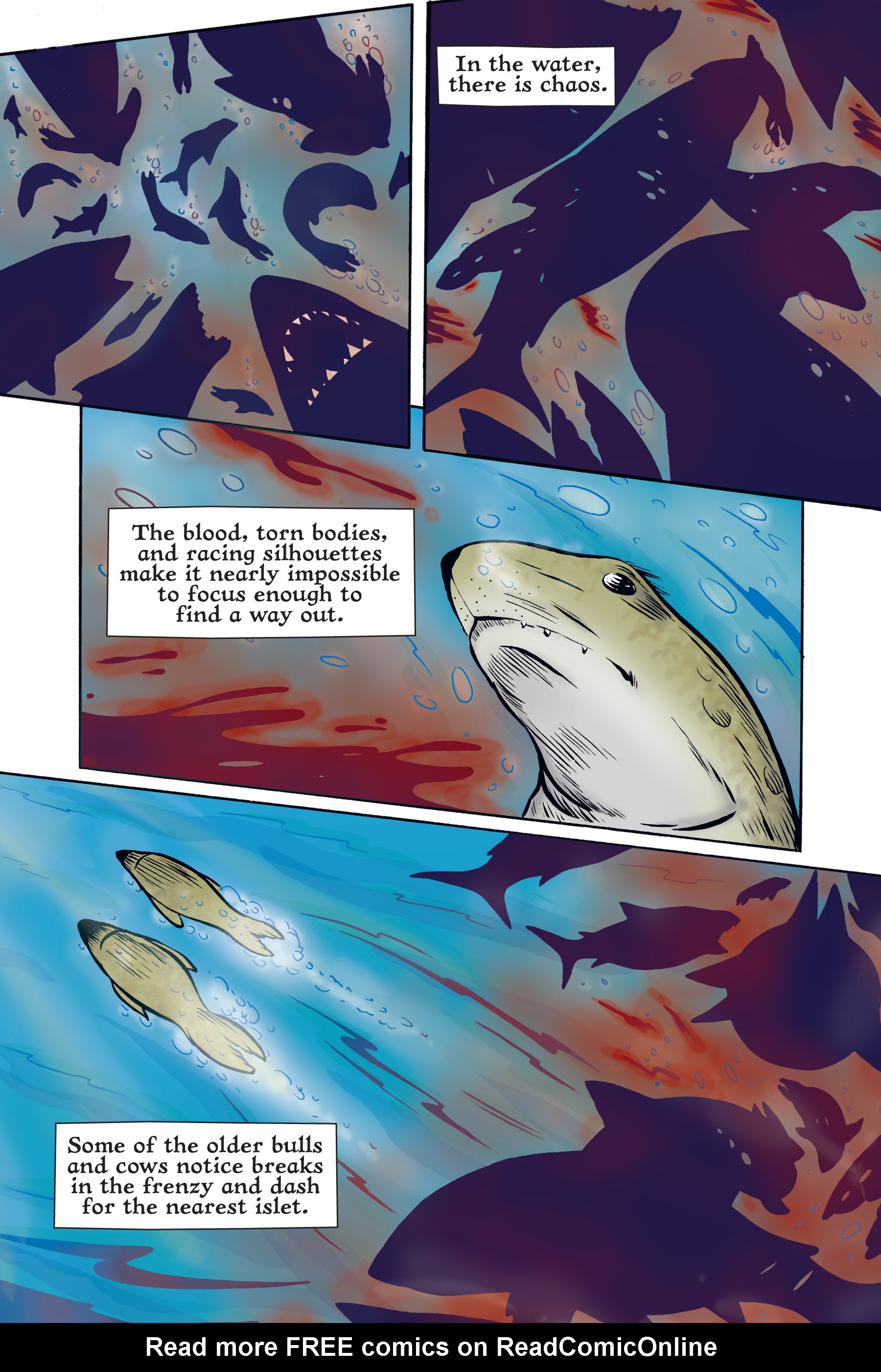 Read online Xoc: Journey of a Great White comic -  Issue # TPB - 25