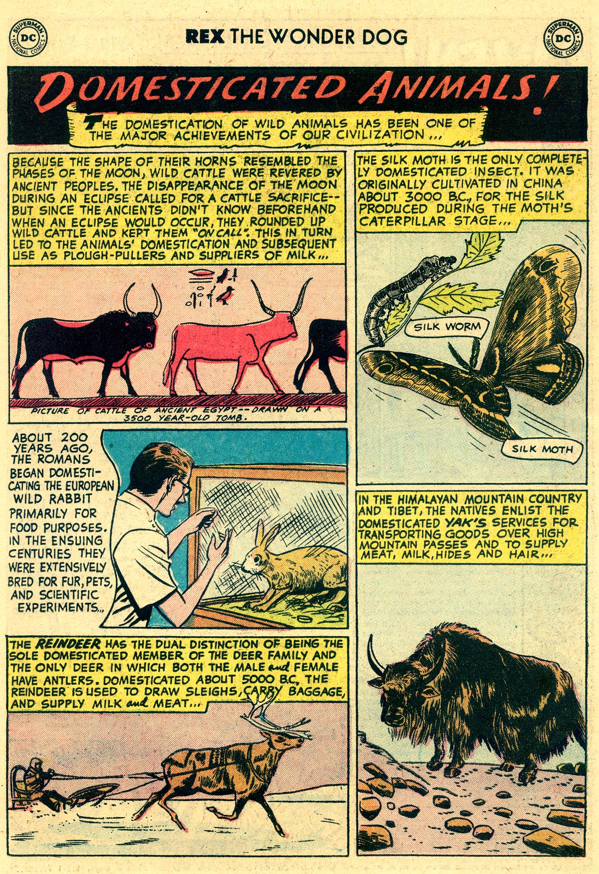 Read online The Adventures of Rex the Wonder Dog comic -  Issue #32 - 22