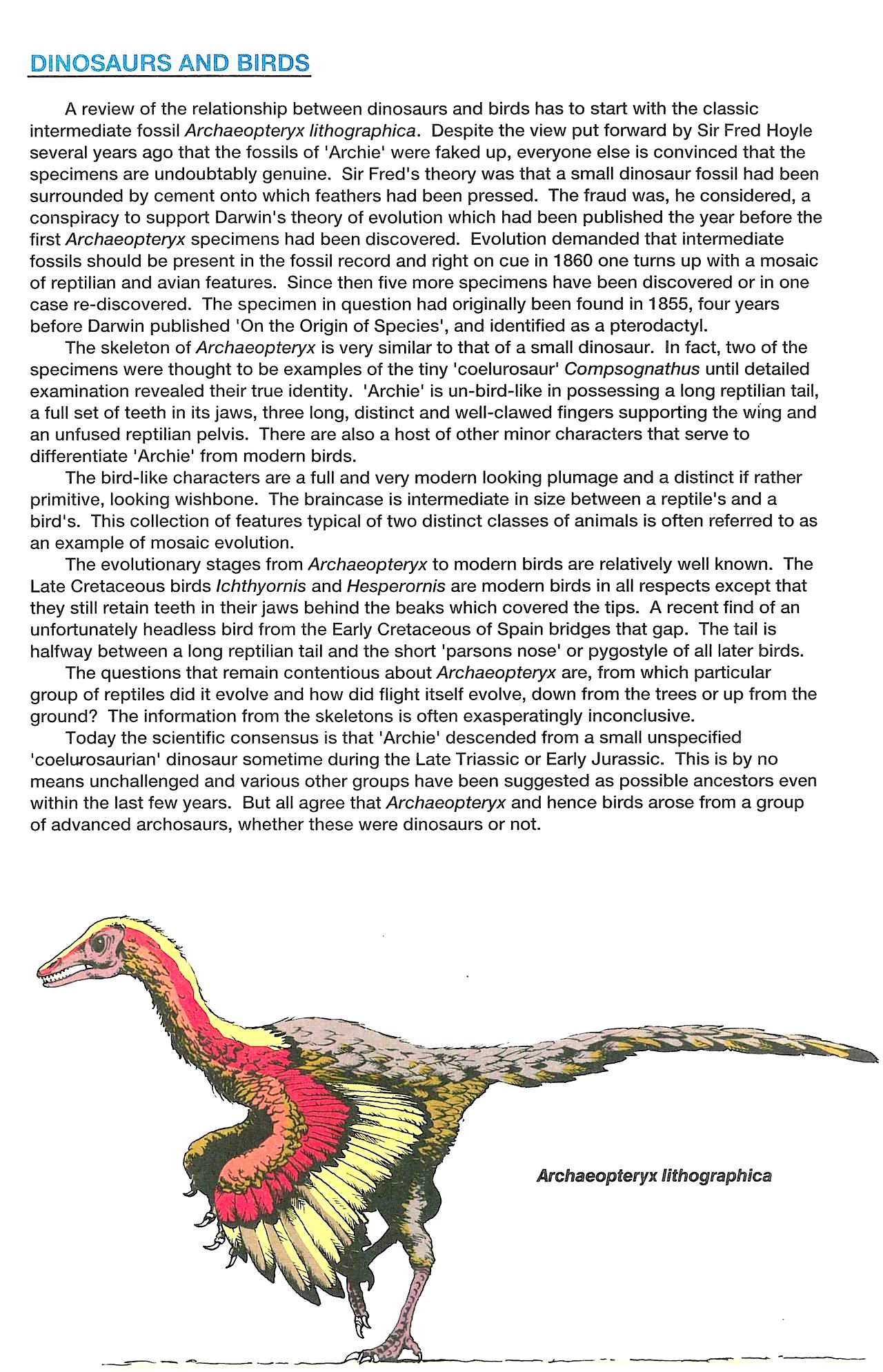 Read online Dinosaurs, A Celebration comic -  Issue #3 - 8