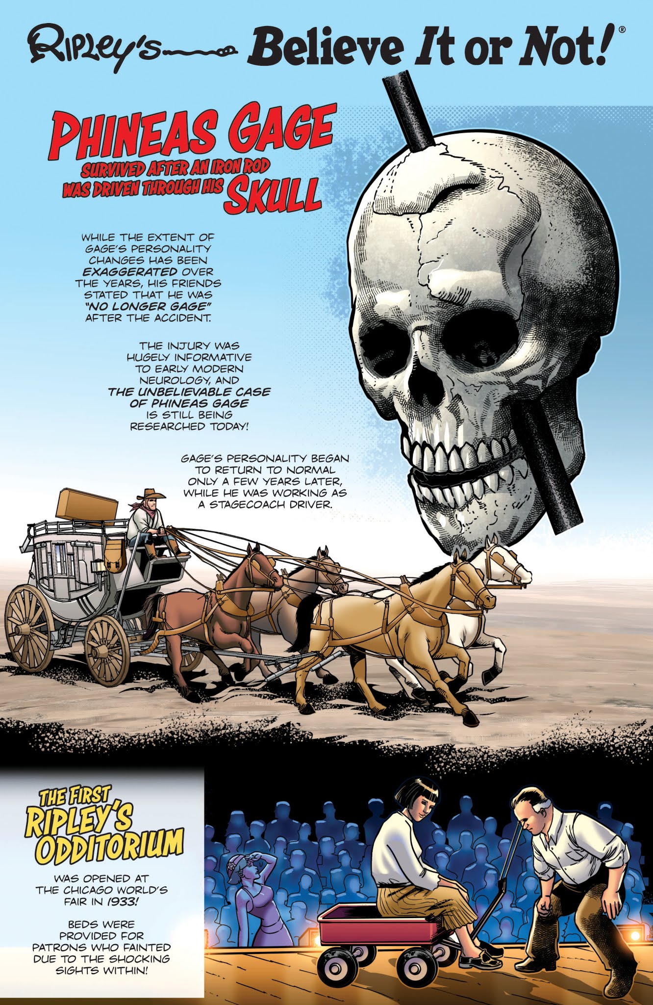 Read online Ripley's Believe It or Not! comic -  Issue #1 - 22