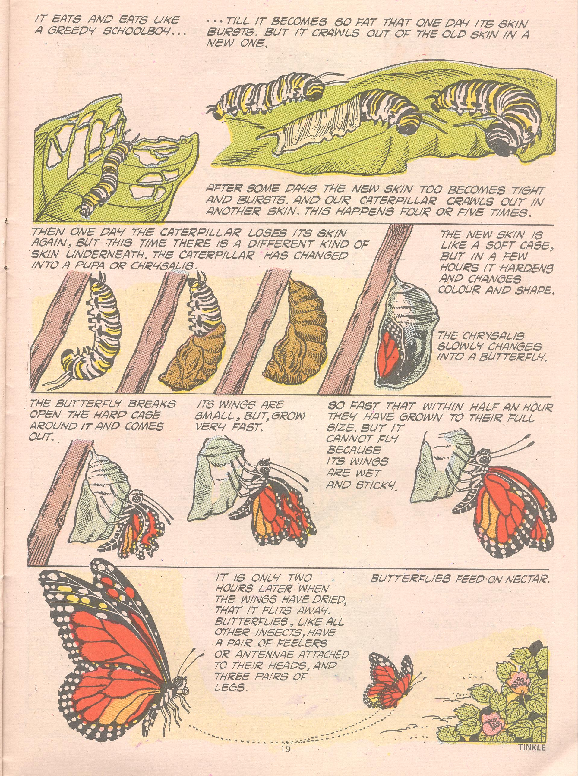 Read online Tinkle comic -  Issue #16 - 21