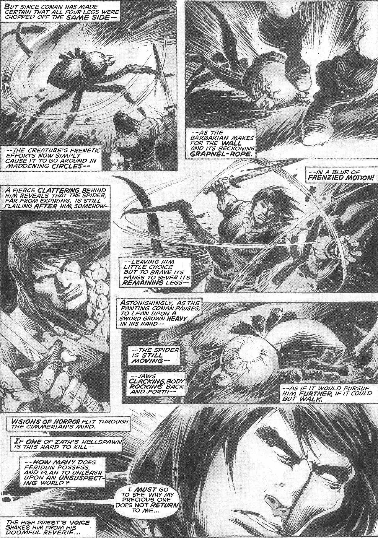 Read online The Savage Sword Of Conan comic -  Issue #209 - 41