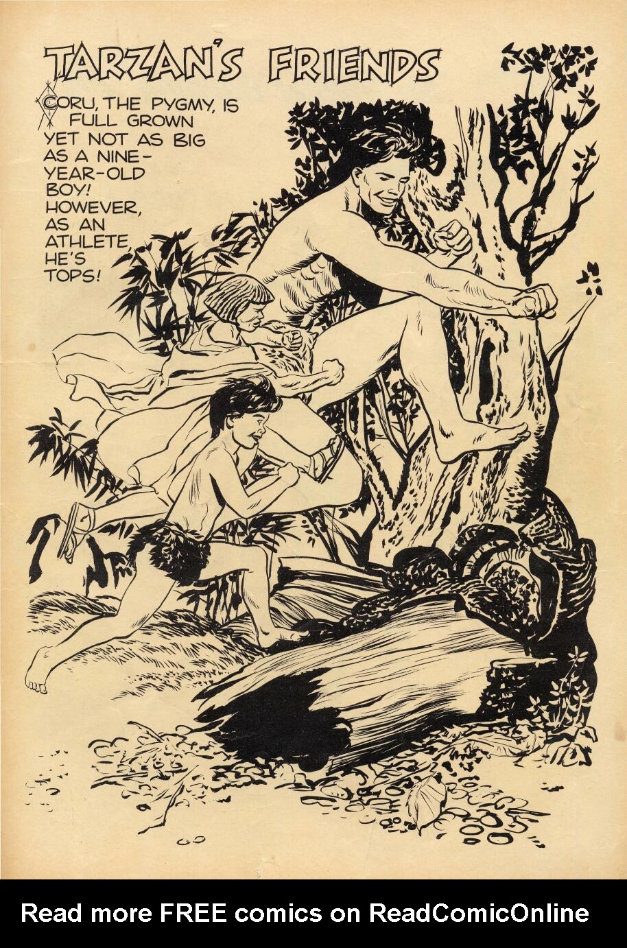 Read online Tarzan (1948) comic -  Issue #63 - 35