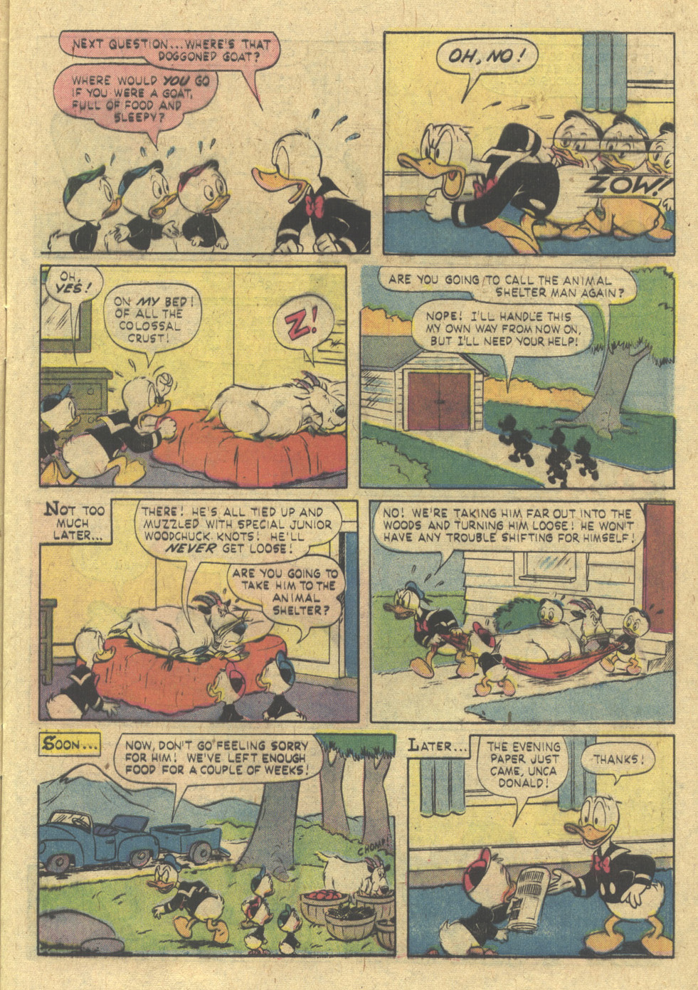 Read online Donald Duck (1962) comic -  Issue #180 - 9