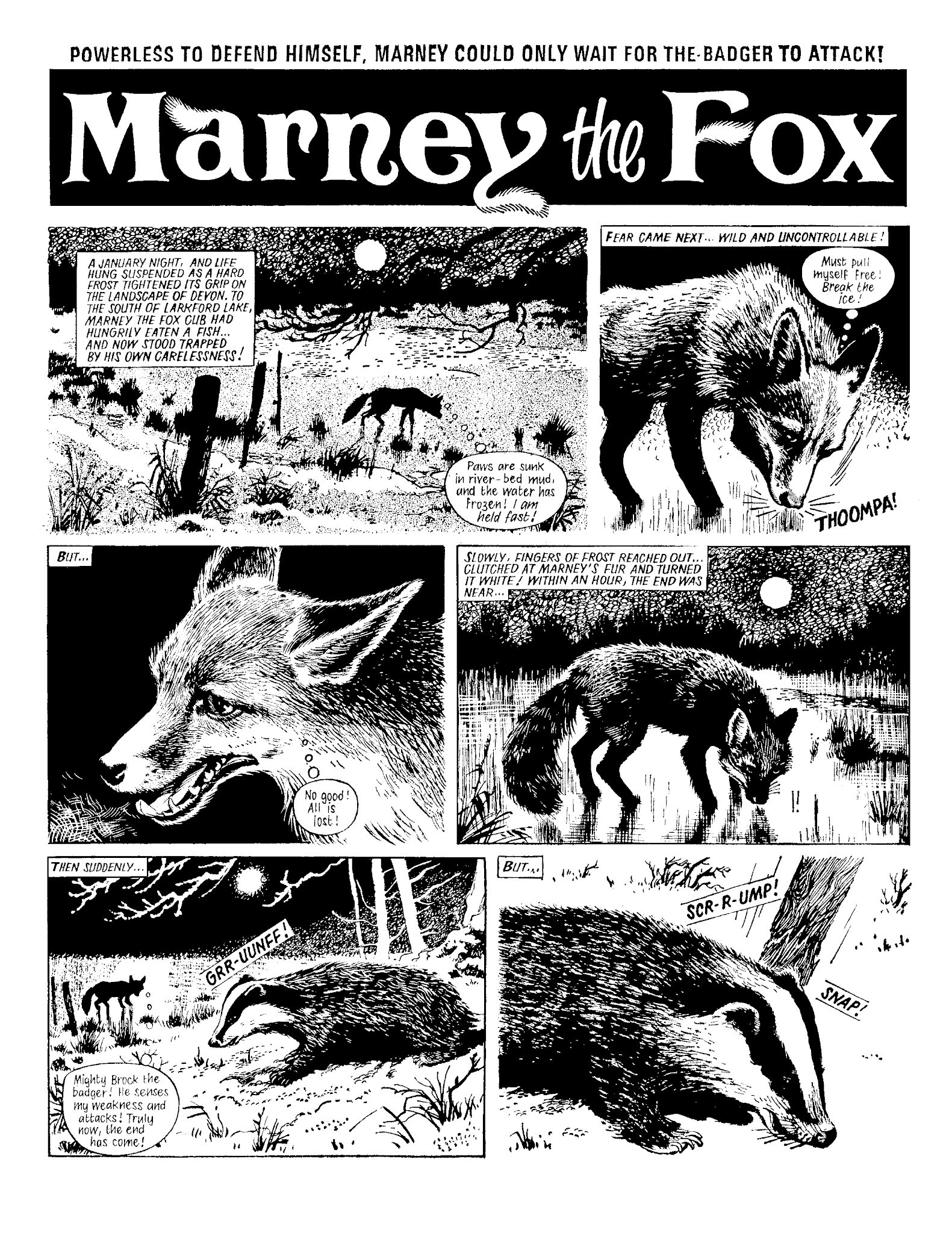 Read online Marney the Fox comic -  Issue # TPB (Part 1) - 55