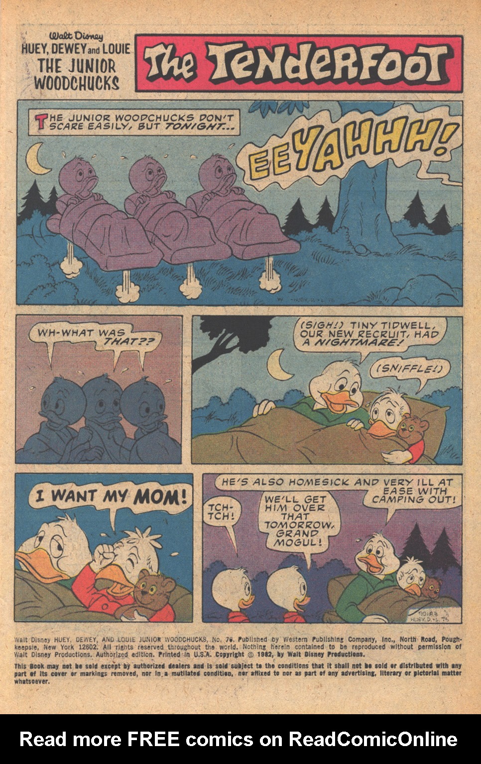 Read online Huey, Dewey, and Louie Junior Woodchucks comic -  Issue #76 - 3