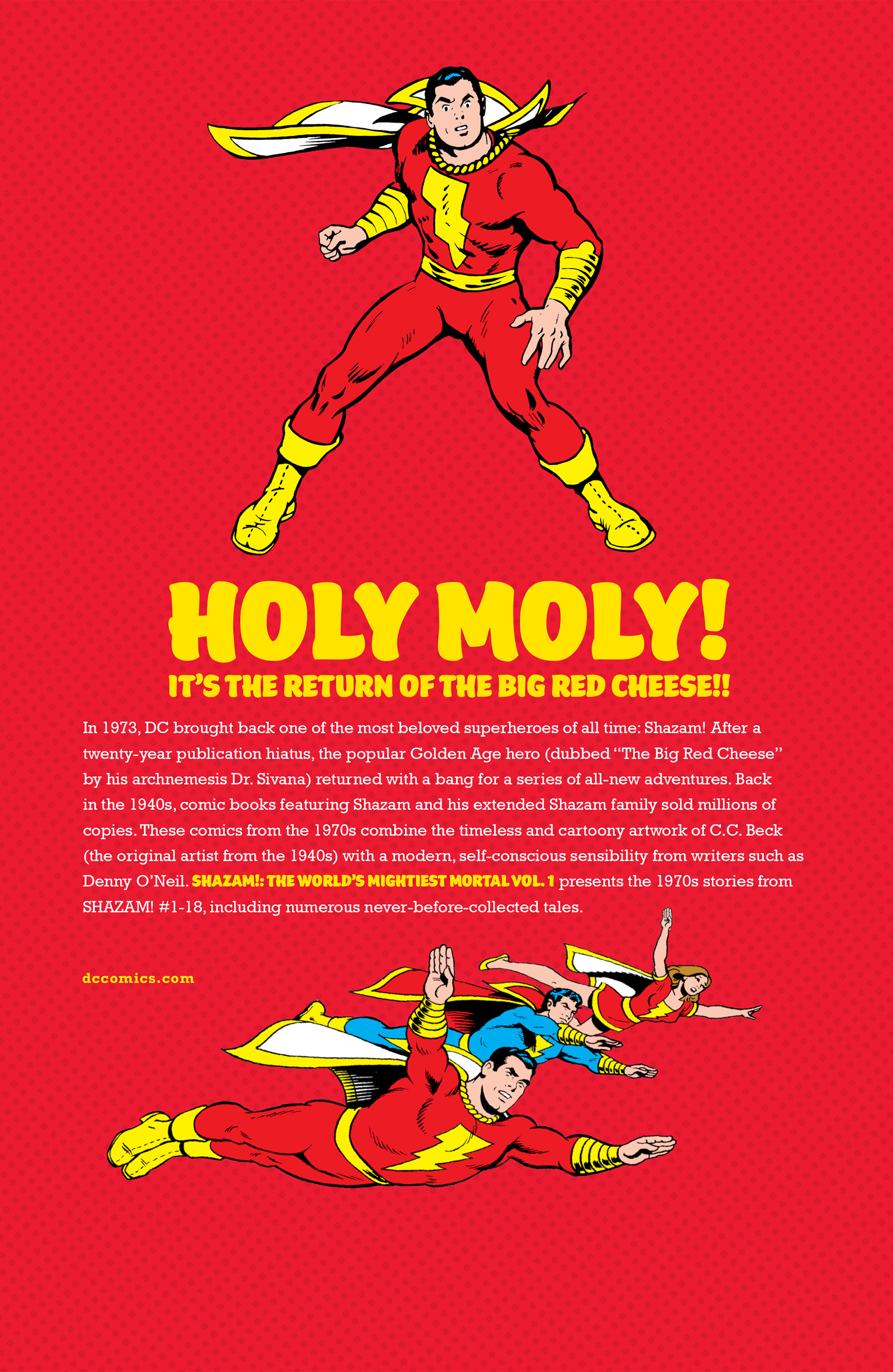 Read online Shazam! (1973) comic -  Issue # _TPB 1 (Part 4) - 49