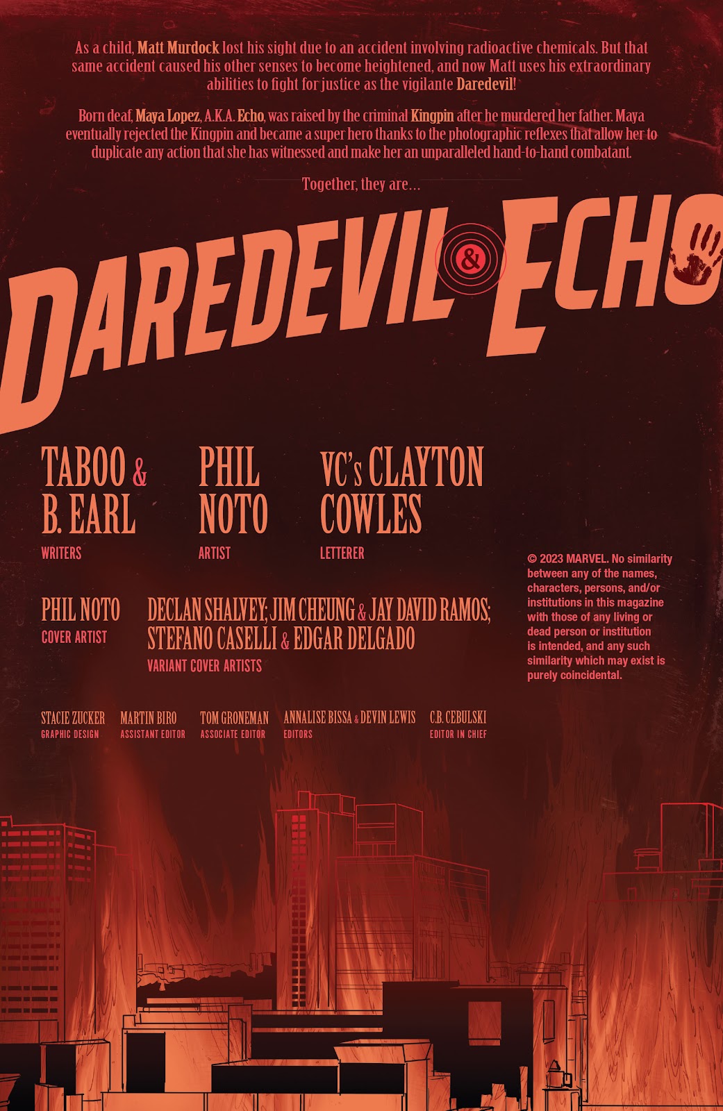 Daredevil & Echo issue 1 - Page 2