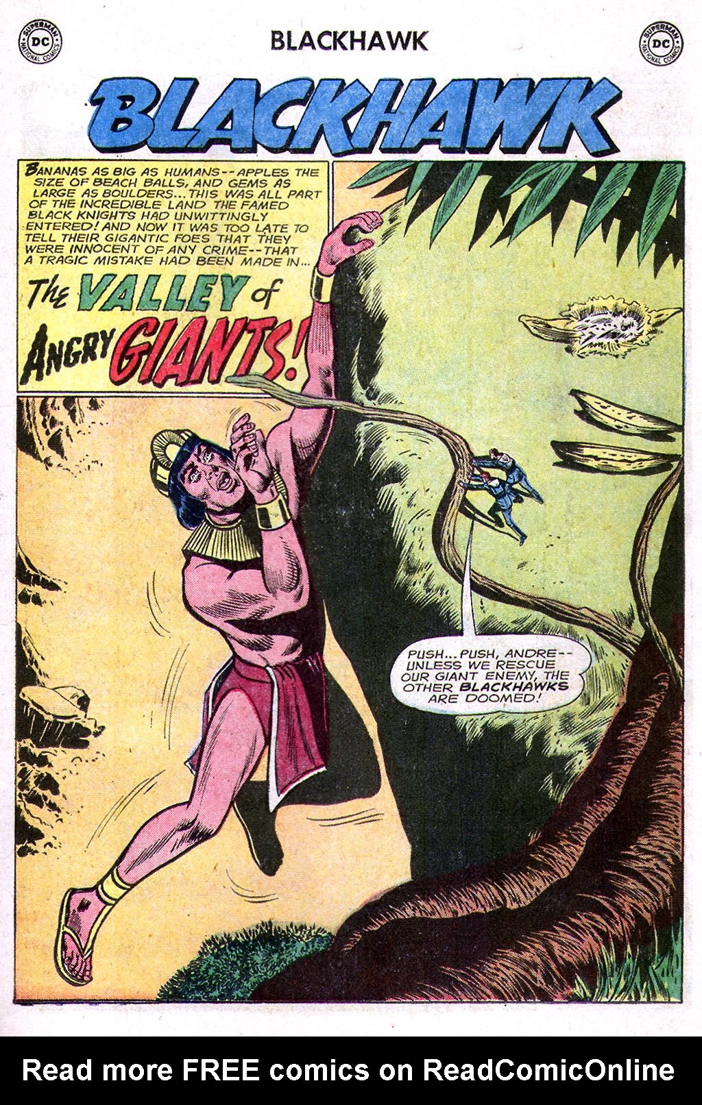 Read online Blackhawk (1957) comic -  Issue #193 - 19