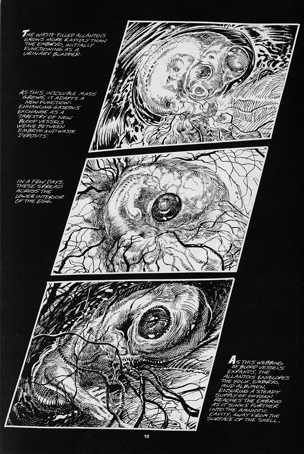 Read online S.R. Bissette's Tyrant comic -  Issue #3 - 12