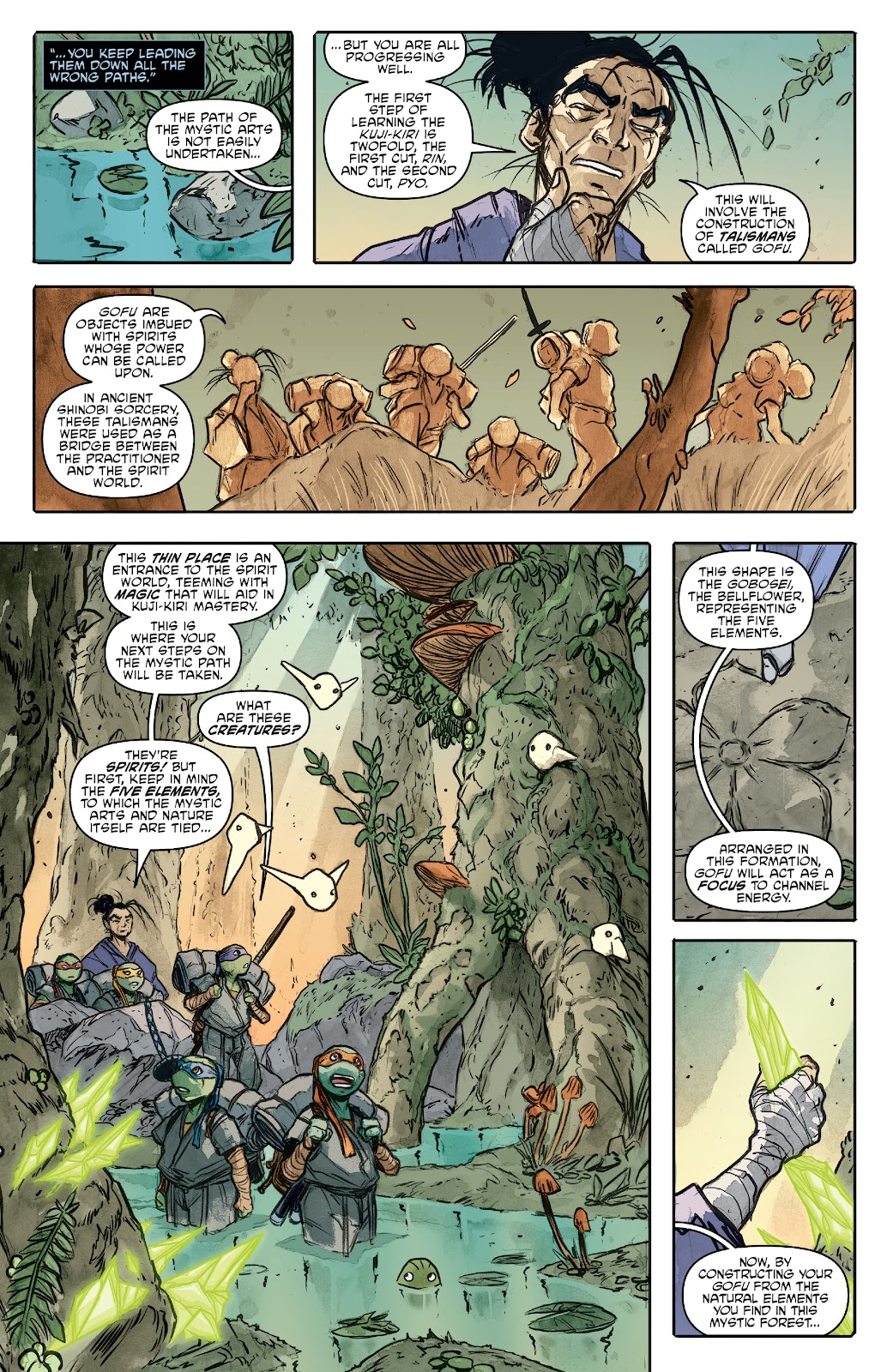Teenage Mutant Ninja Turtles (2011) issue 132 - Page 5