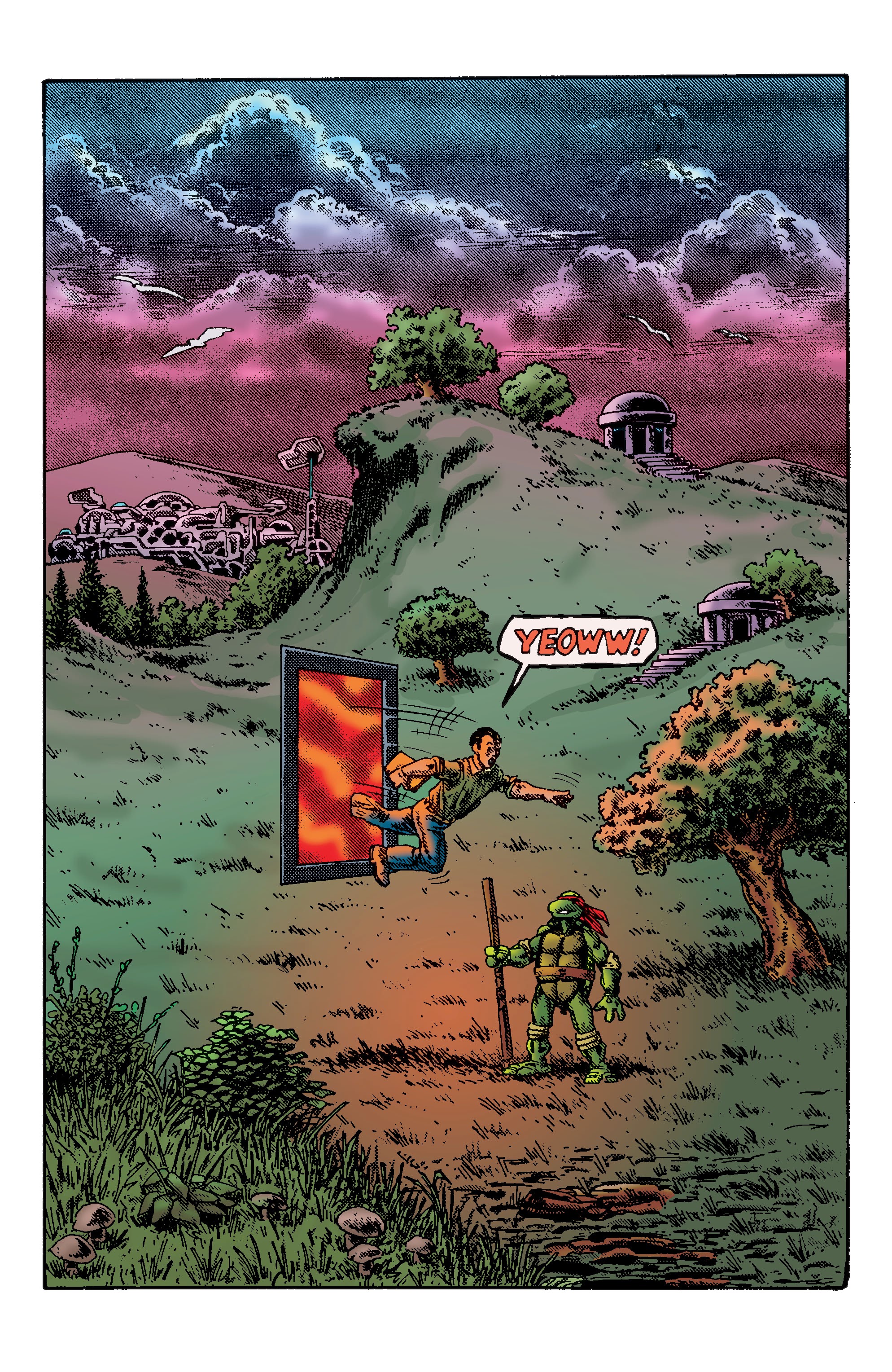 Read online TMNT: Best of Donatello comic -  Issue # TPB - 14