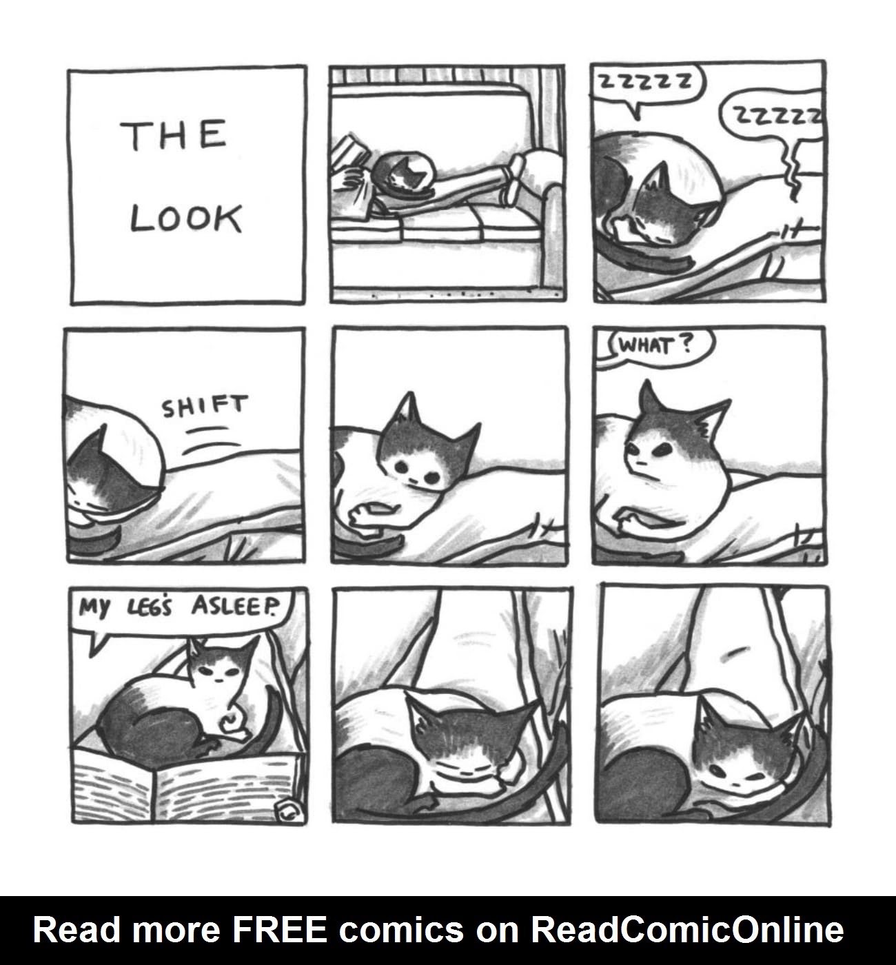 Read online Cats are Weird and More Observations comic -  Issue # TPB - 34