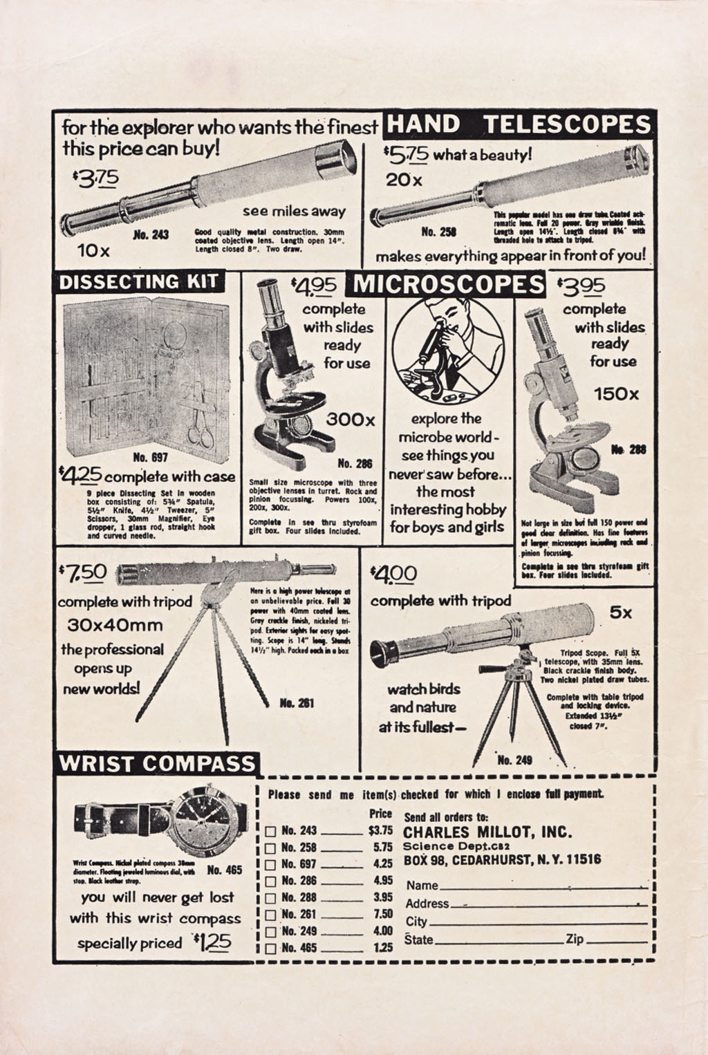 Read online Abbott & Costello comic -  Issue #19 - 2