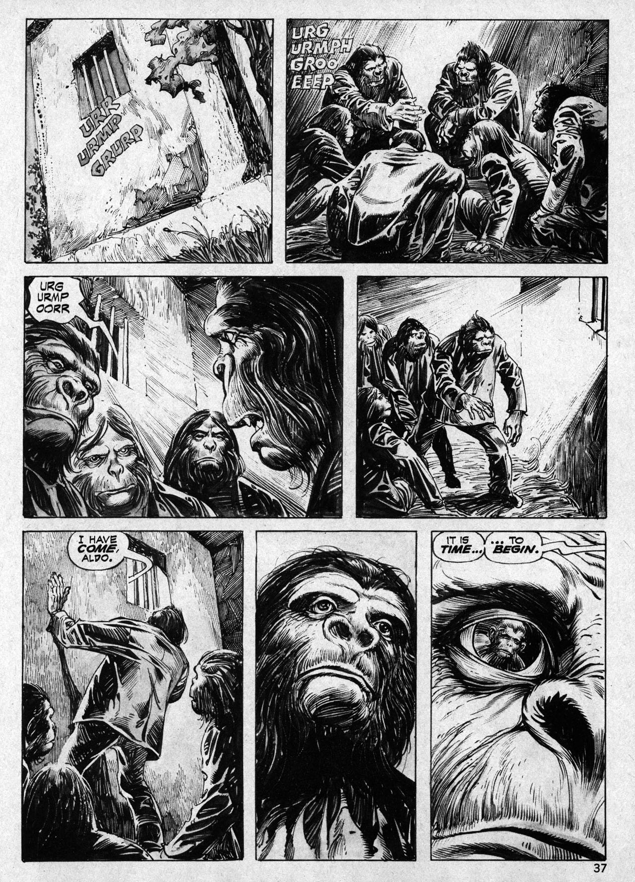 Read online Planet of the Apes comic -  Issue #19 - 36