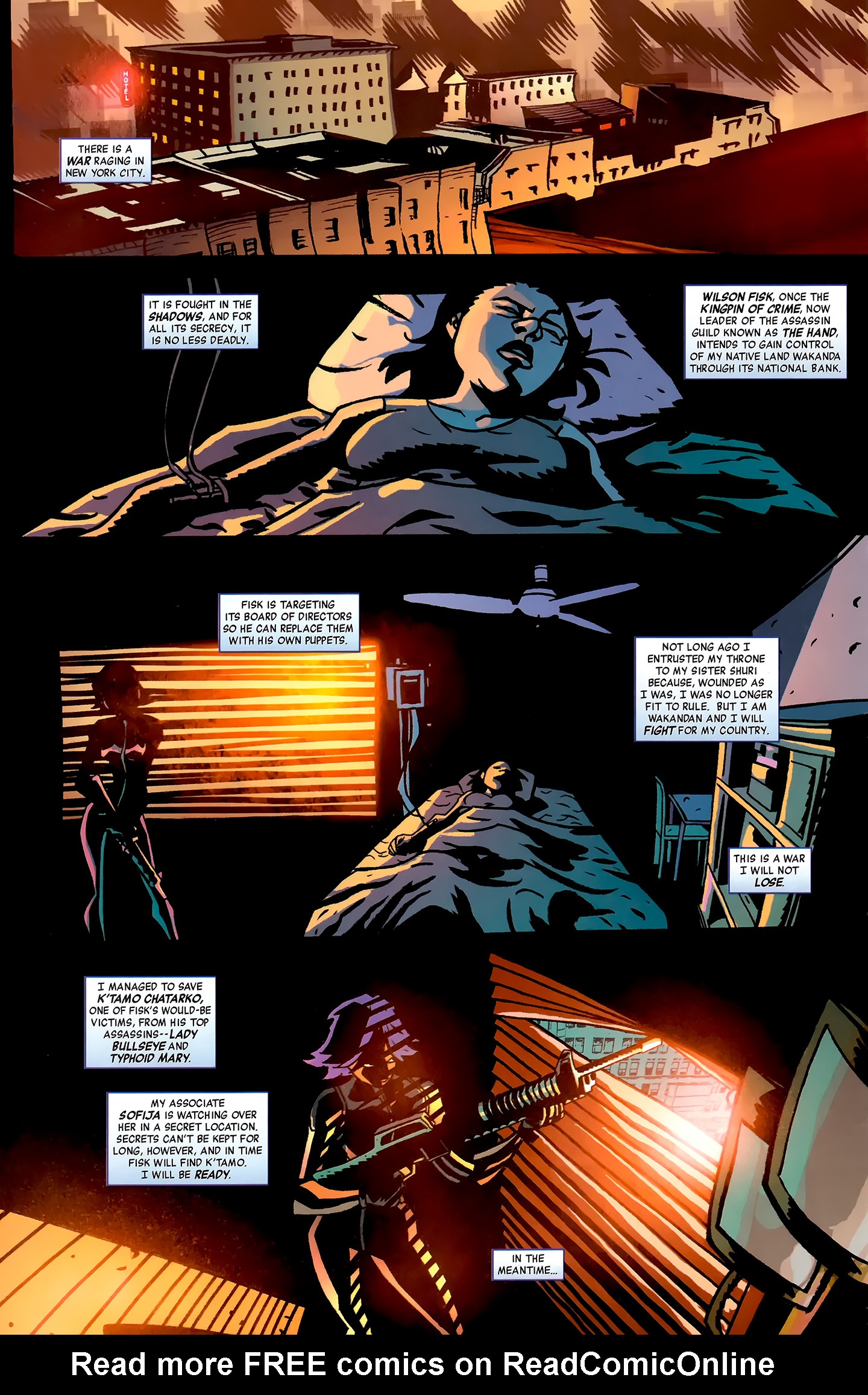 Read online Black Panther: The Most Dangerous Man Alive comic -  Issue #527 - 3