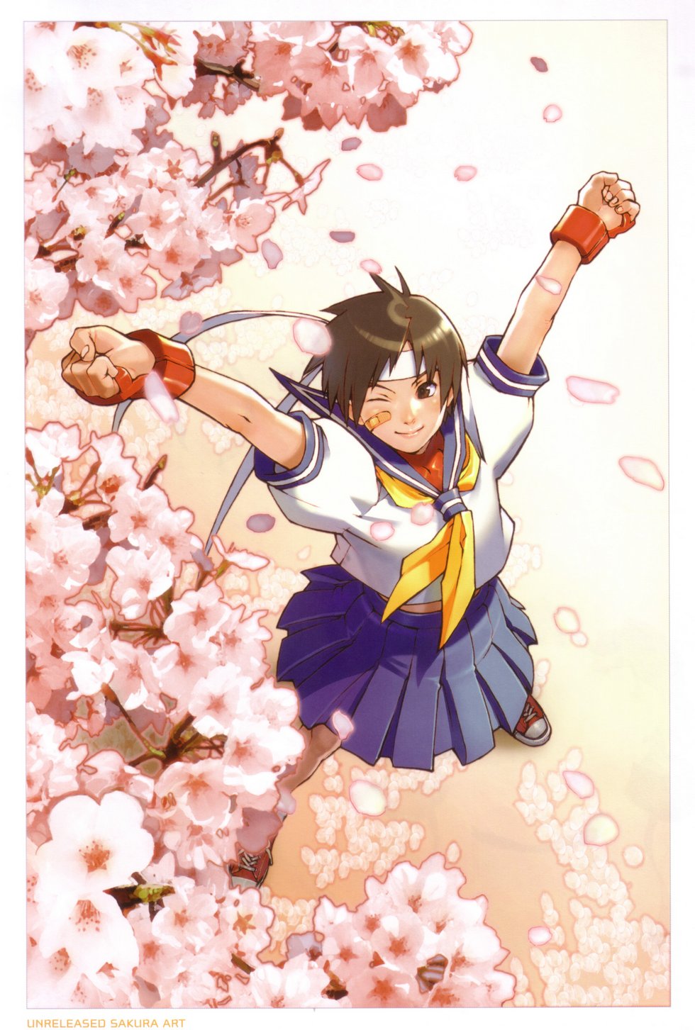 Read online UDON's Art of Capcom comic -  Issue # TPB (Part 2) - 63