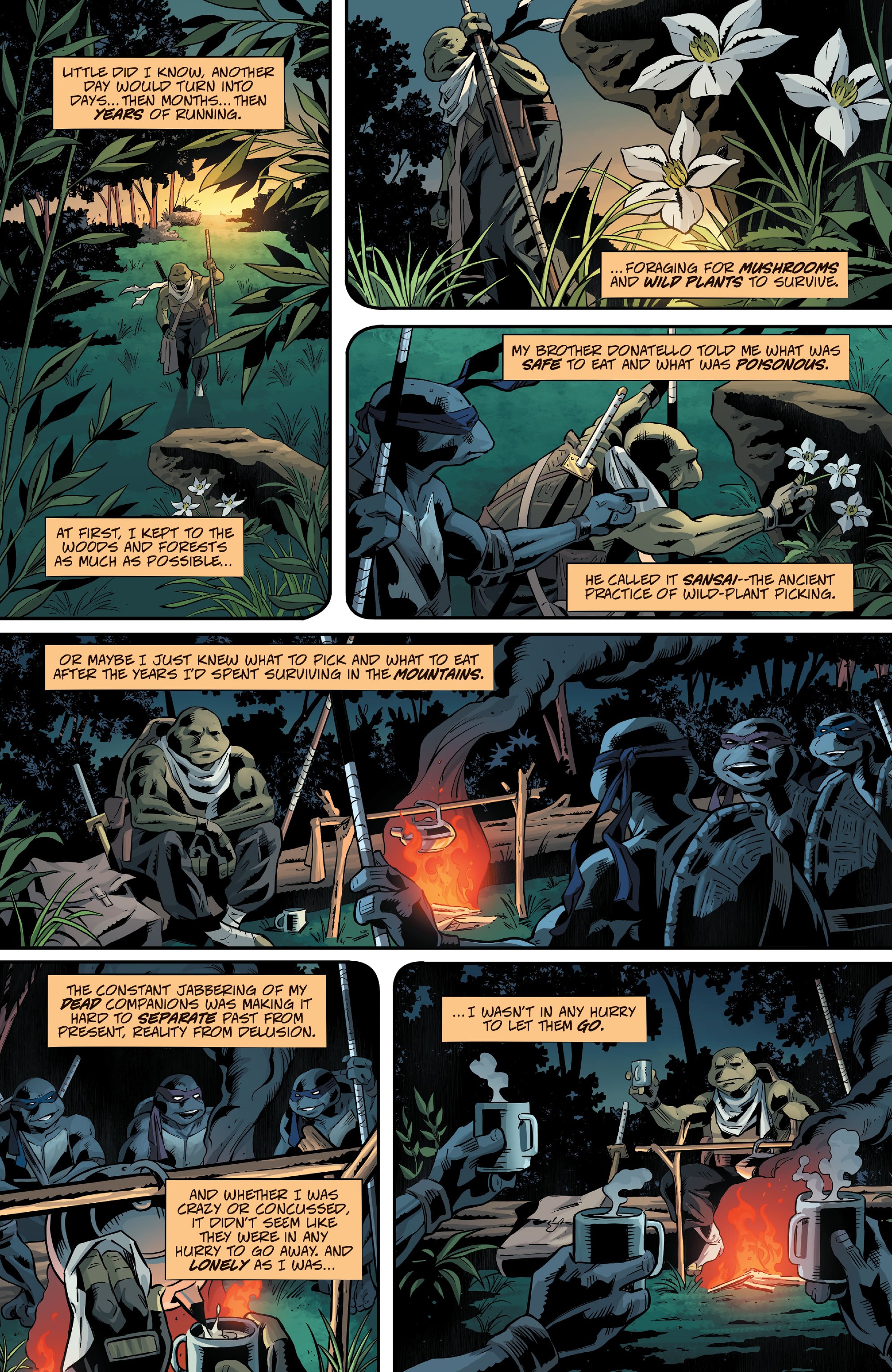 Read online Teenage Mutant Ninja Turtles: The Last Ronin - The Lost Years comic -  Issue #2 - 12