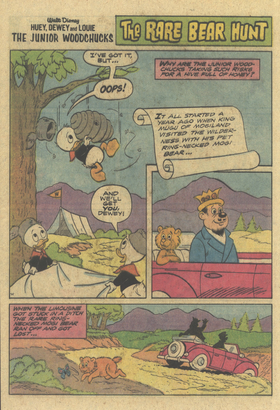 Read online Huey, Dewey, and Louie Junior Woodchucks comic -  Issue #47 - 16