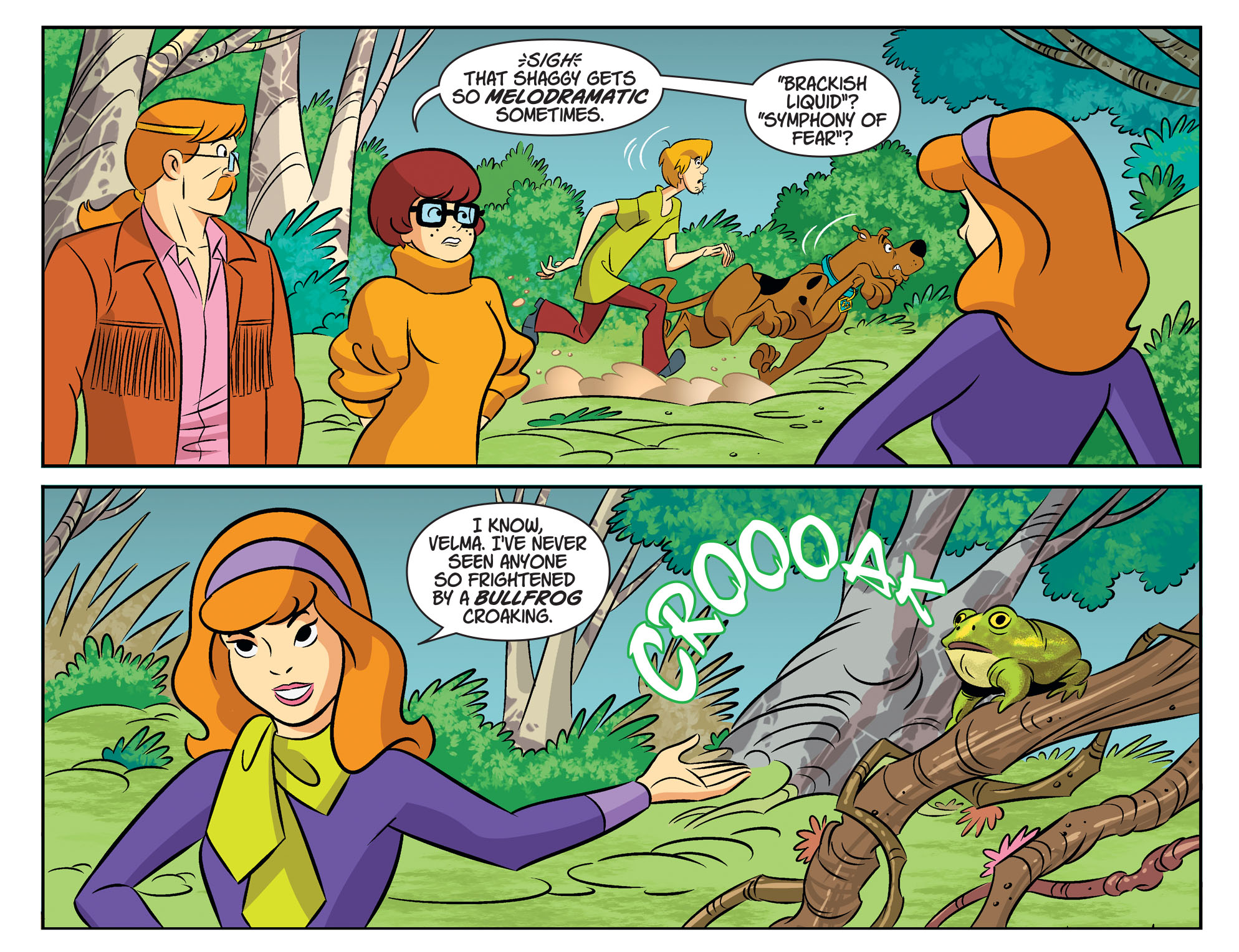Read online Scooby-Doo! Team-Up comic -  Issue #79 - 6