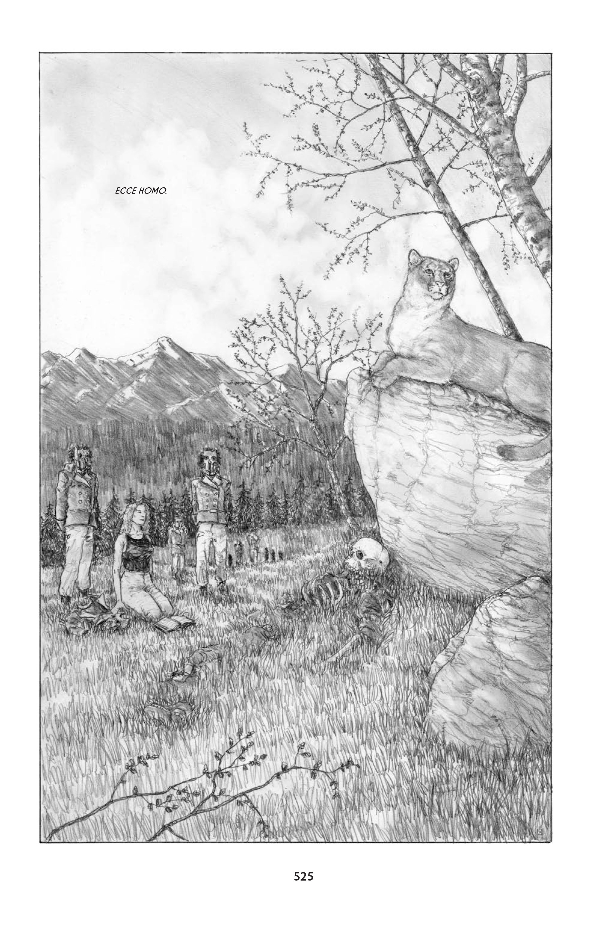 Read online The Puma Blues comic -  Issue # TPB (Part2) - 253