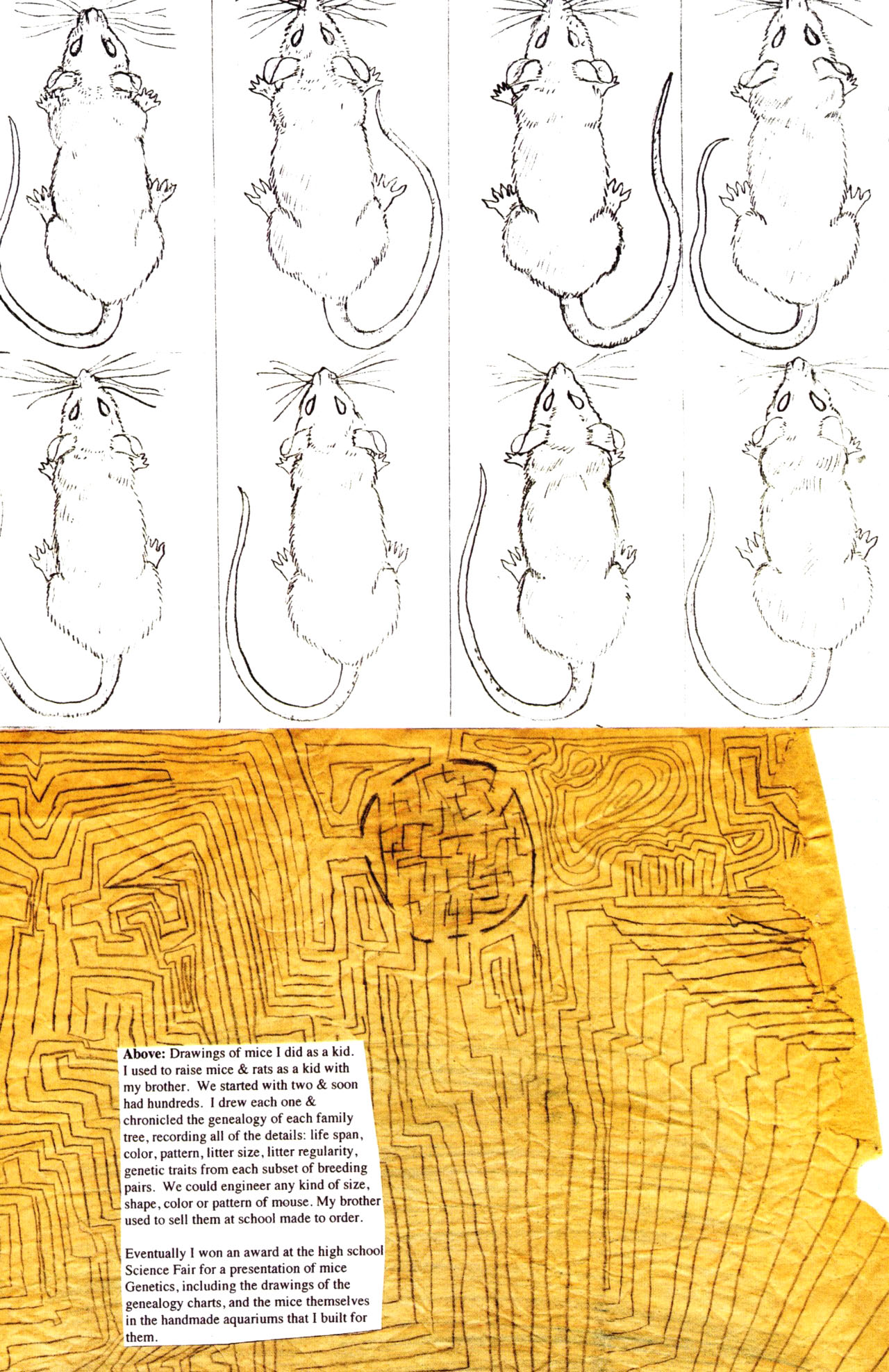 Read online Reflections comic -  Issue #10 - 24