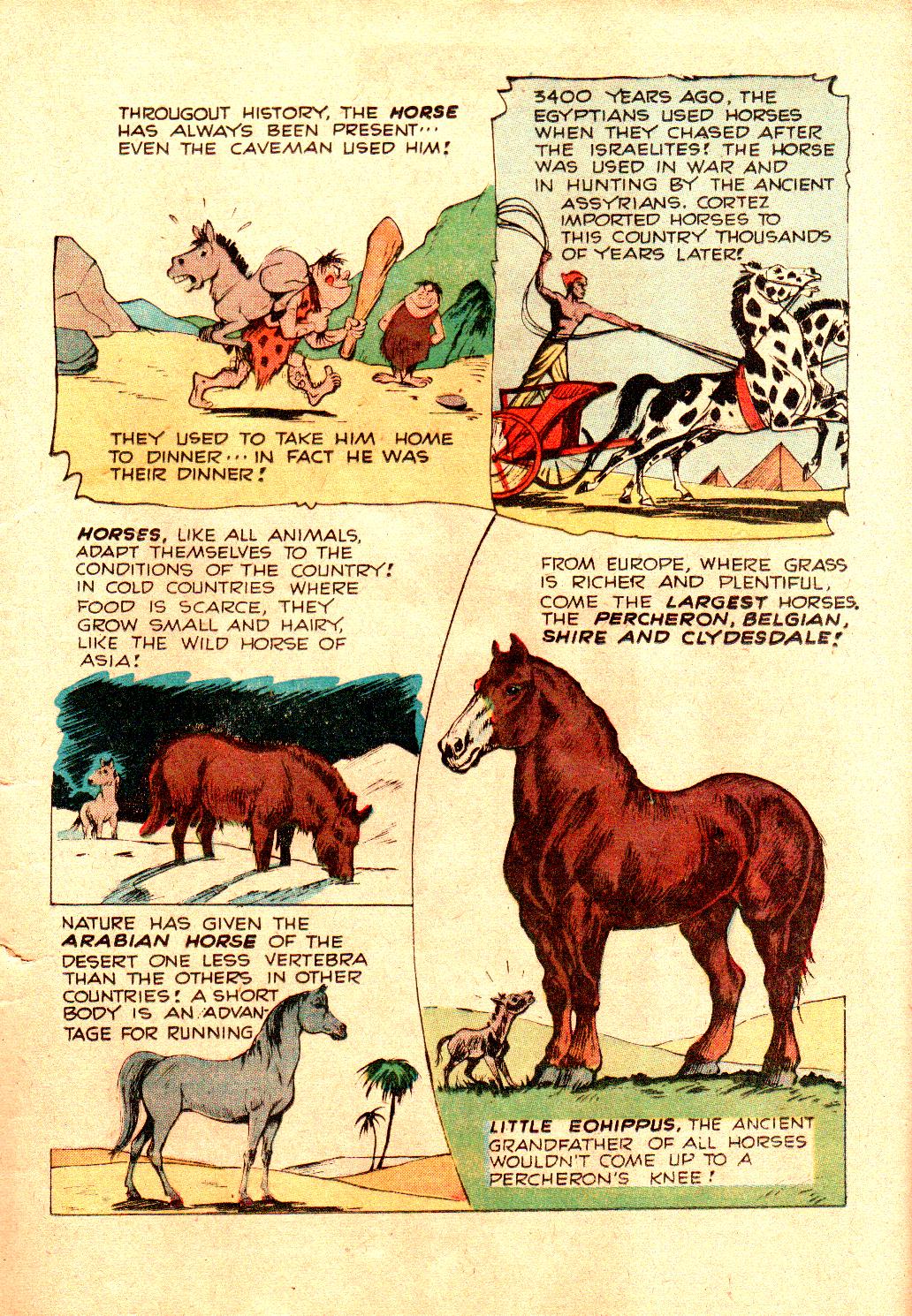 Read online Little Archie In Animal Land comic -  Issue #18 - 13