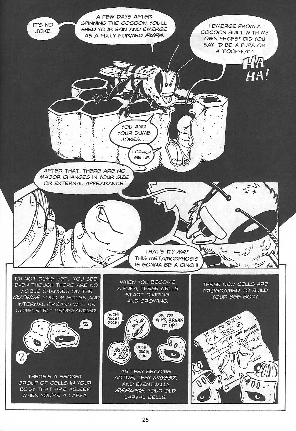 Read online Clan Apis comic -  Issue # TPB (Part 1) - 26