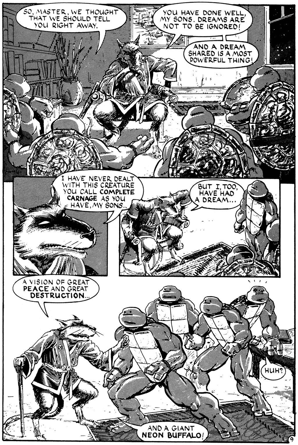Teenage Mutant Ninja Turtles (1984) Issue #27 #27 - English 9
