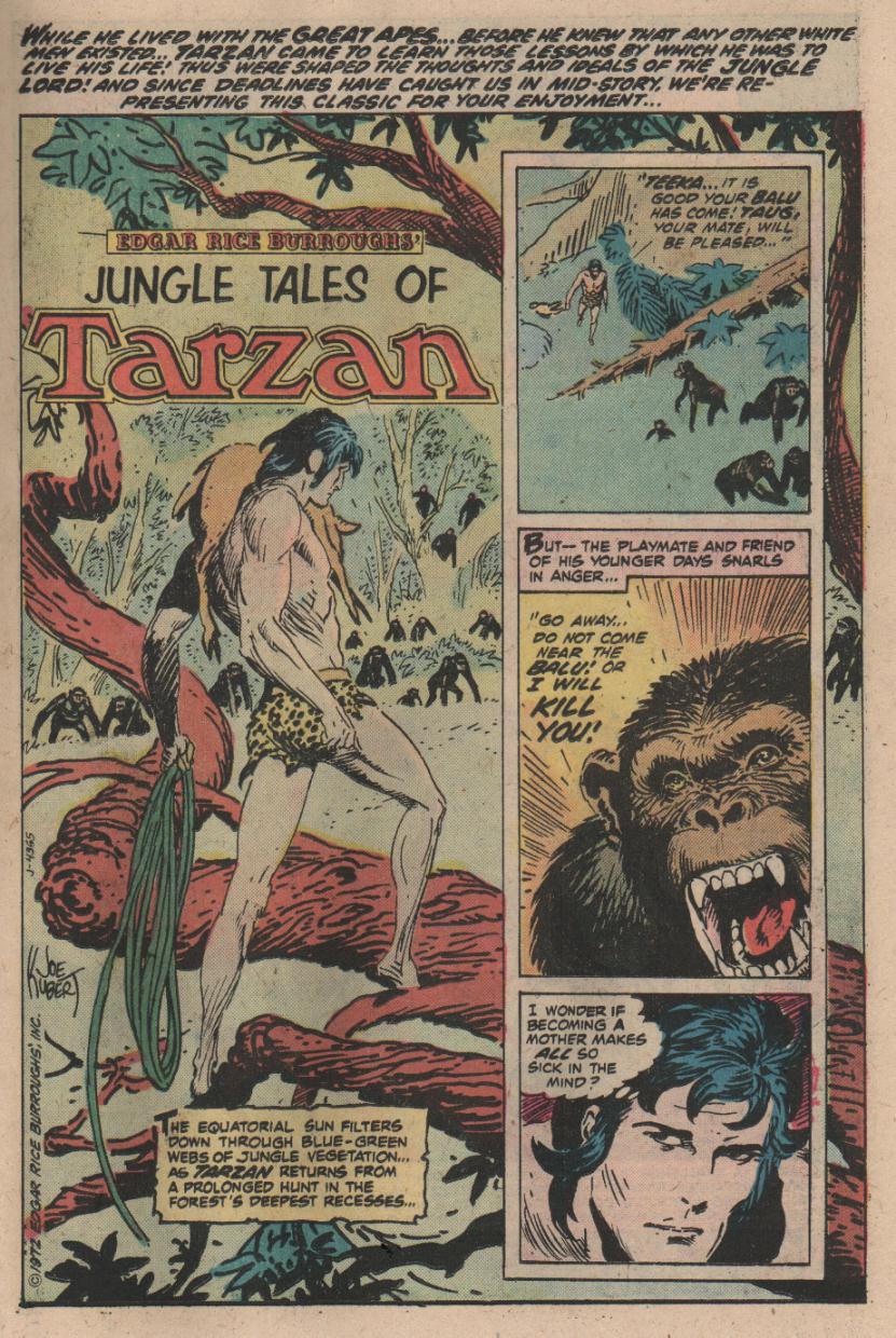 Read online Tarzan (1972) comic -  Issue #252 - 9