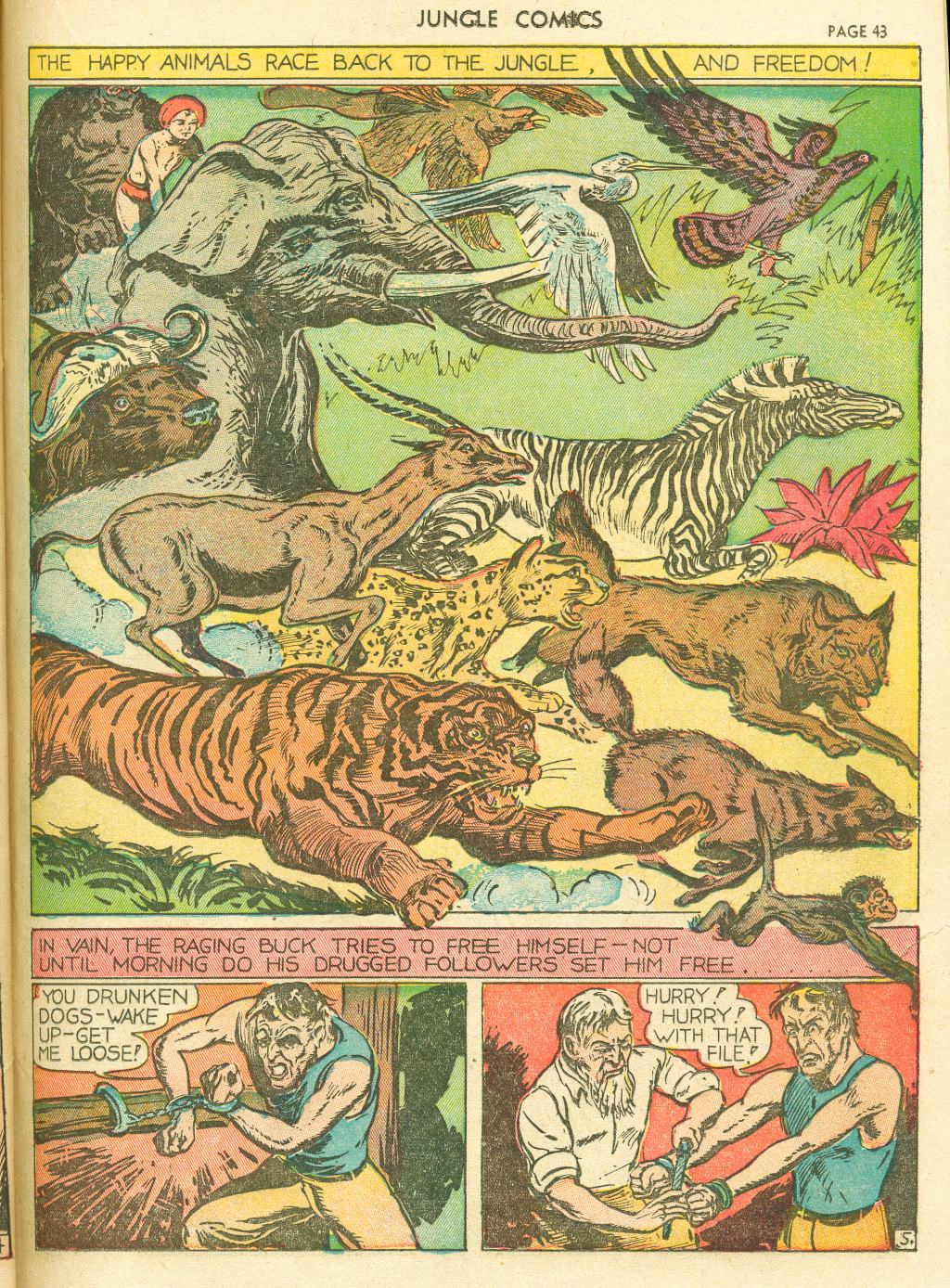 Read online Jungle Comics comic -  Issue #4 - 46