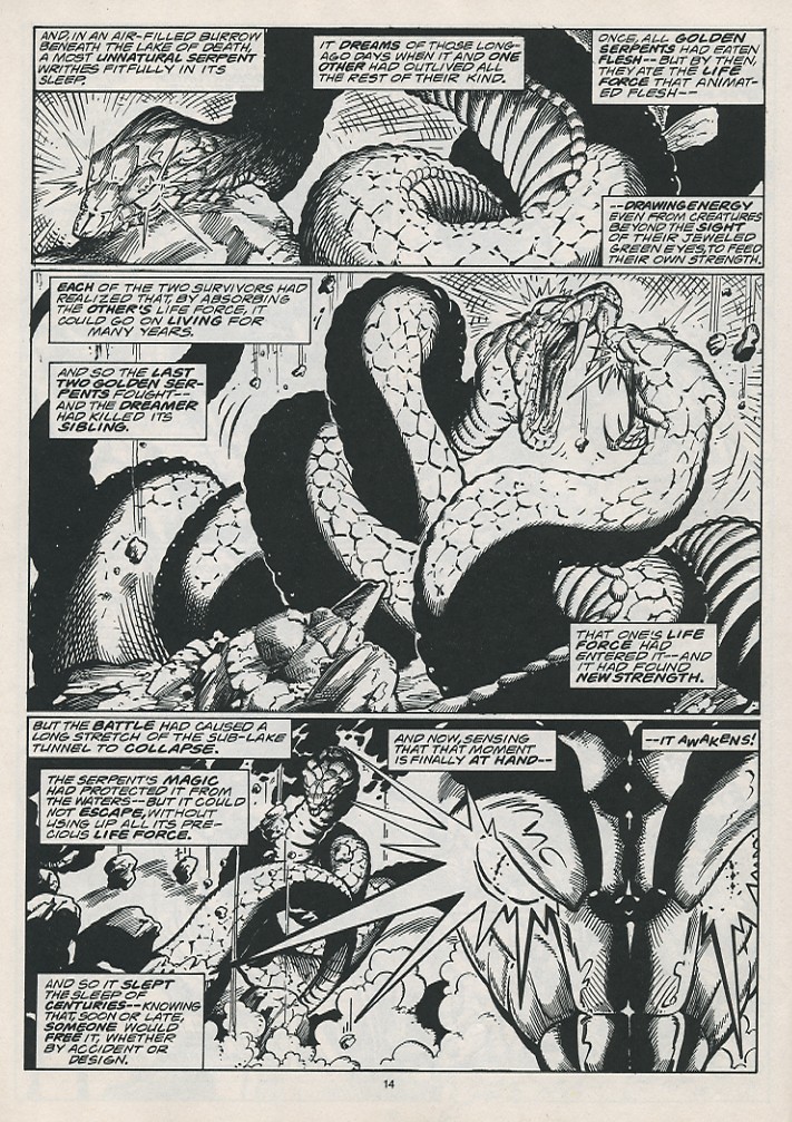 The Savage Sword Of Conan issue 215 - Page 16
