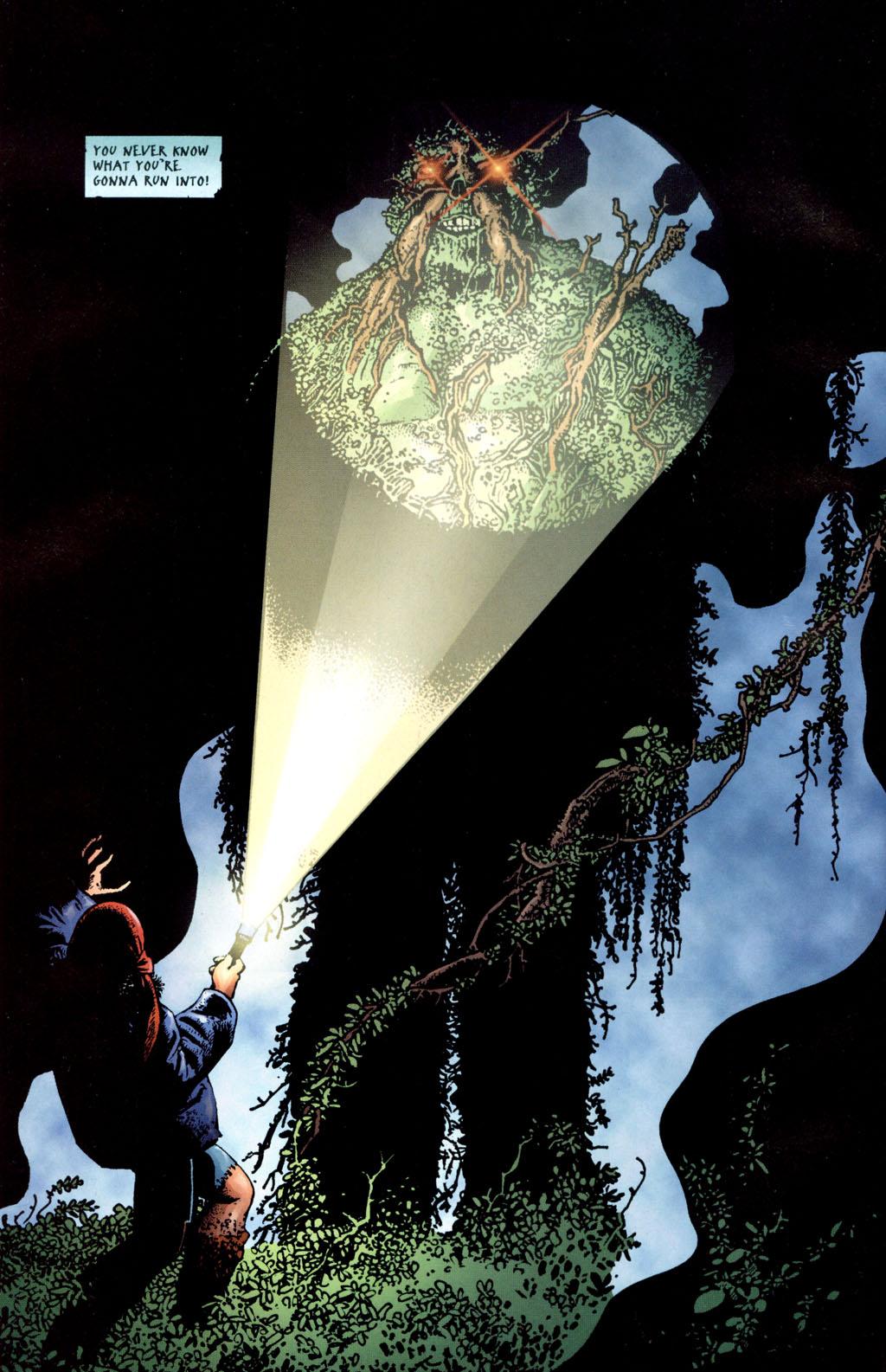 Read online Swamp Thing (2004) comic -  Issue #8 - 8