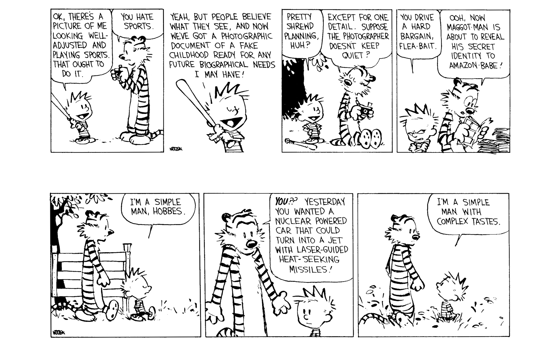 Read online Calvin and Hobbes comic -  Issue #8 - 147