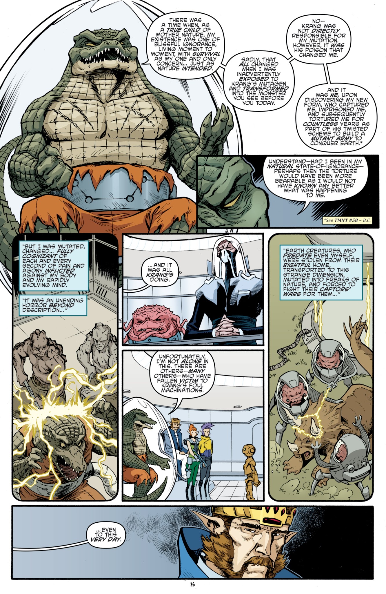 Read online Teenage Mutant Ninja Turtles (2011) comic -  Issue #75 - 27
