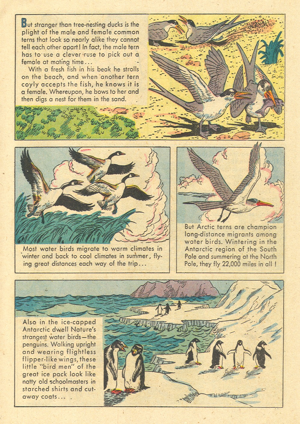 Read online Four Color Comics comic -  Issue #700 - 13