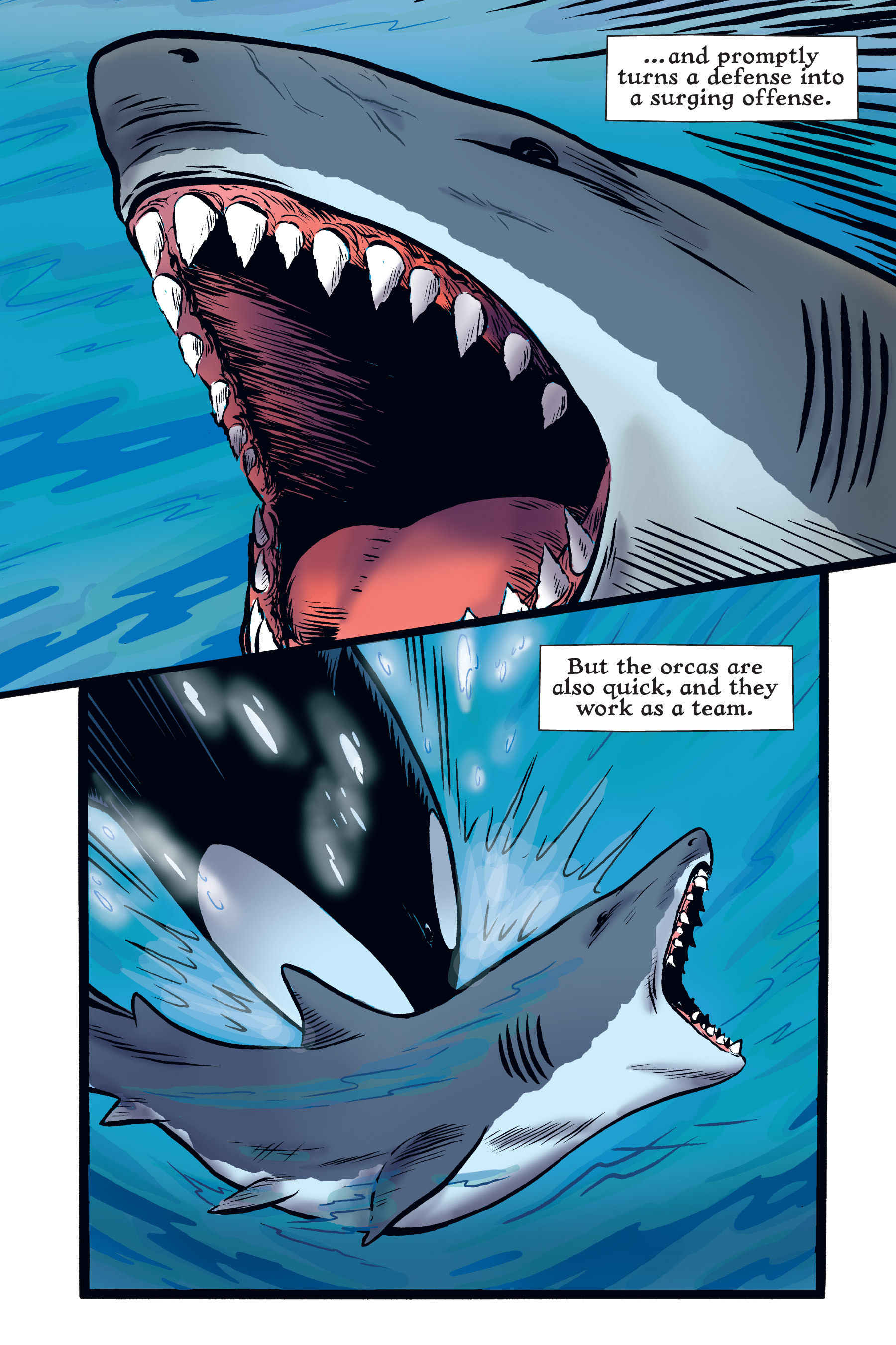 Read online Xoc: Journey of a Great White comic -  Issue # TPB - 43