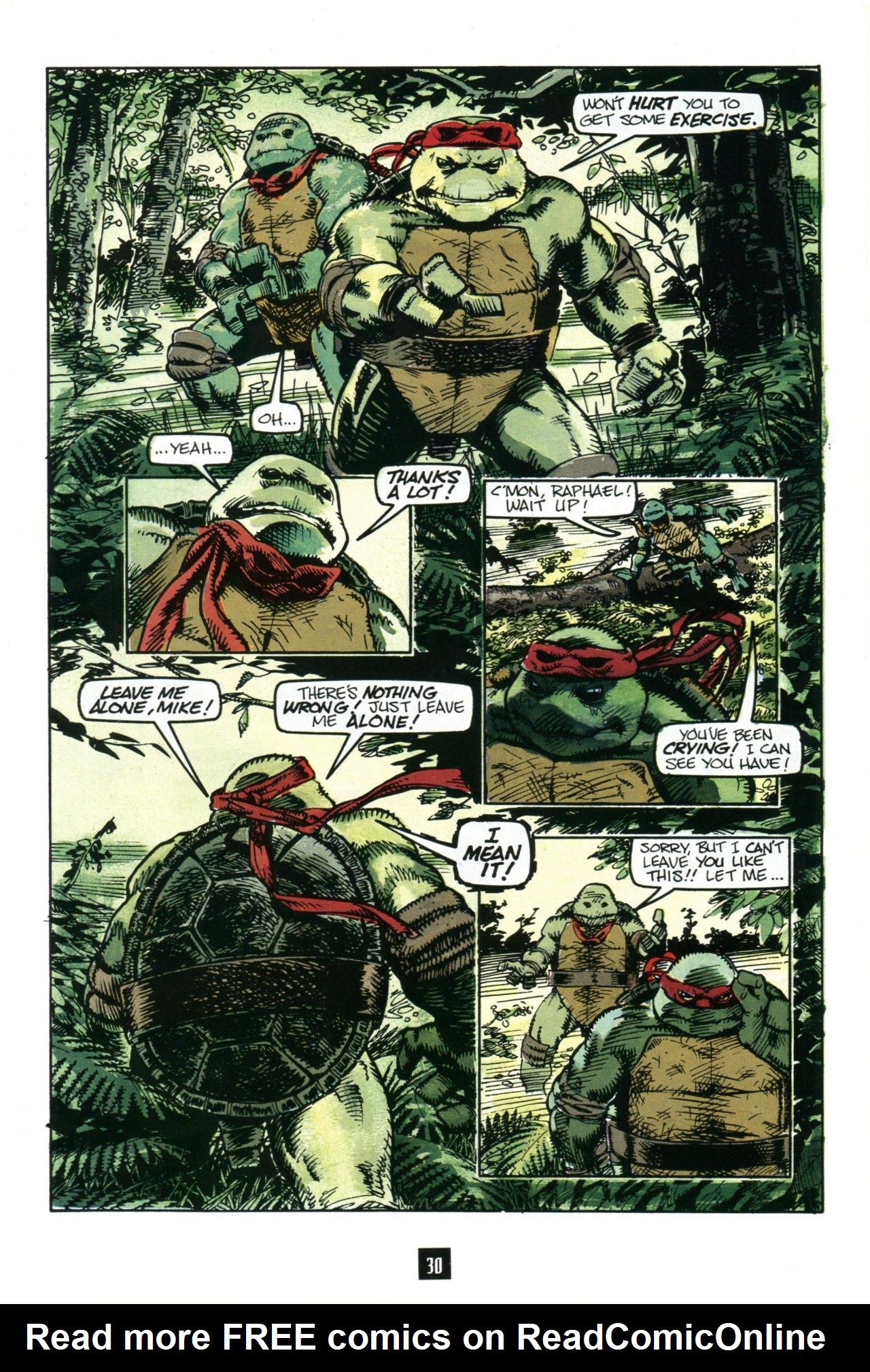 Read online Turtle Soup (1991) comic -  Issue #3 - 31