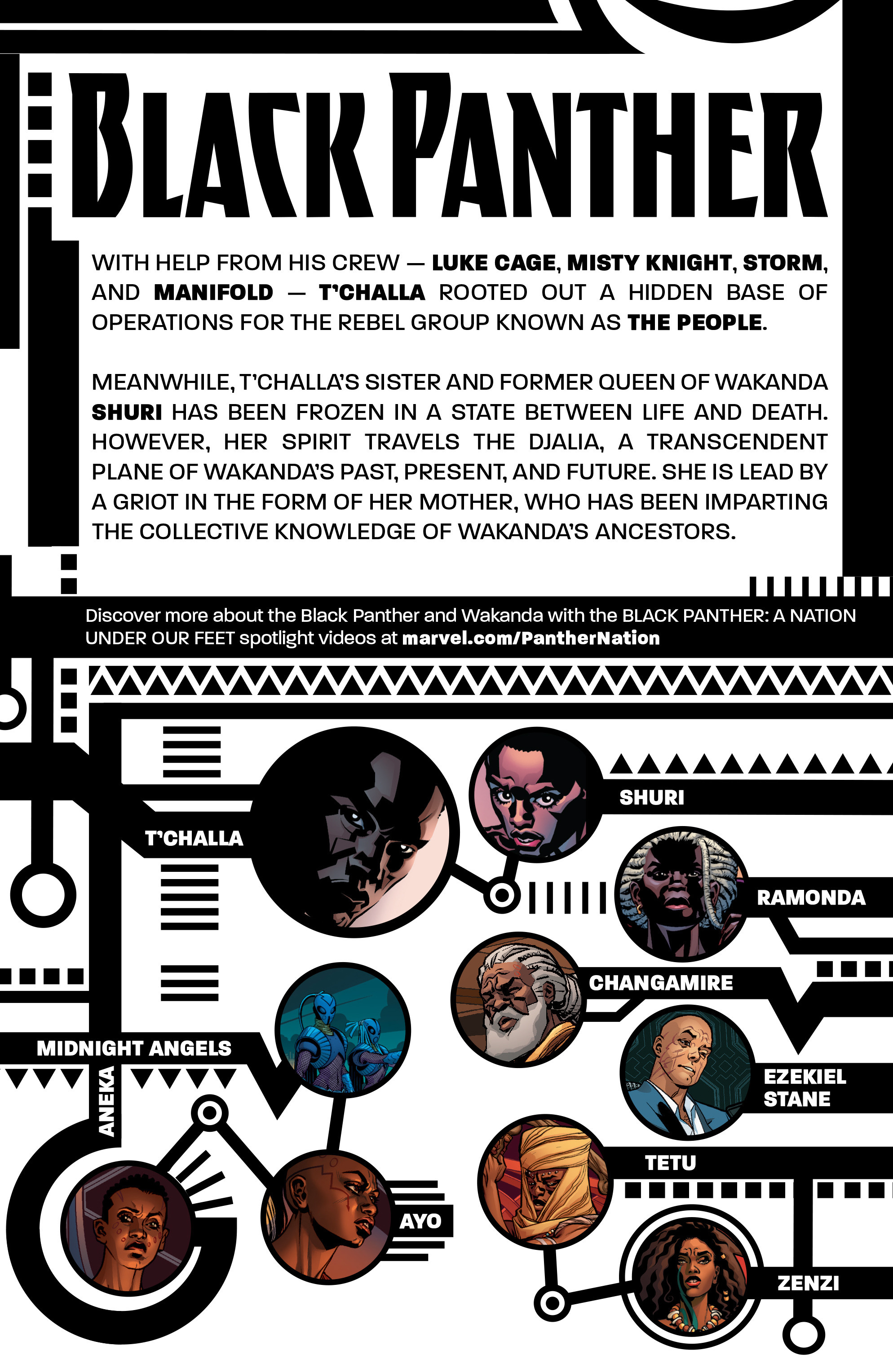 Read online Black Panther (2016) comic -  Issue #8 - 2