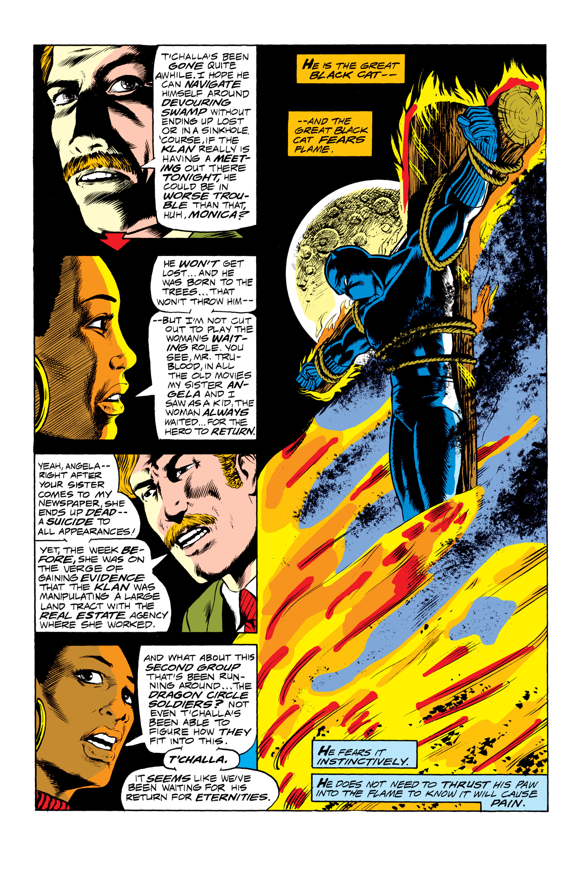 Read online Black Panther: The Early Years Omnibus comic -  Issue # TPB (Part 8) - 41