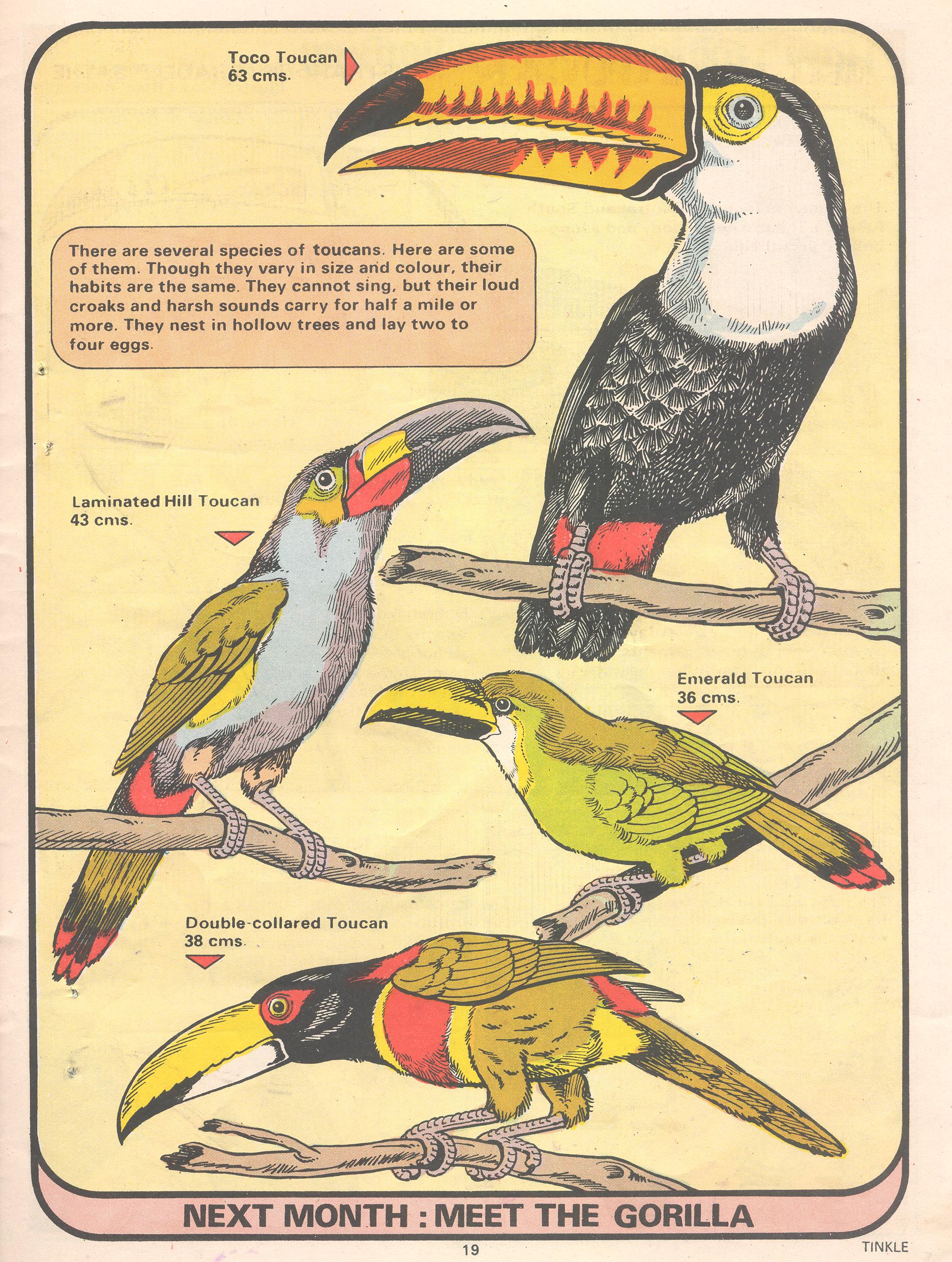 Read online Tinkle comic -  Issue #22 - 21