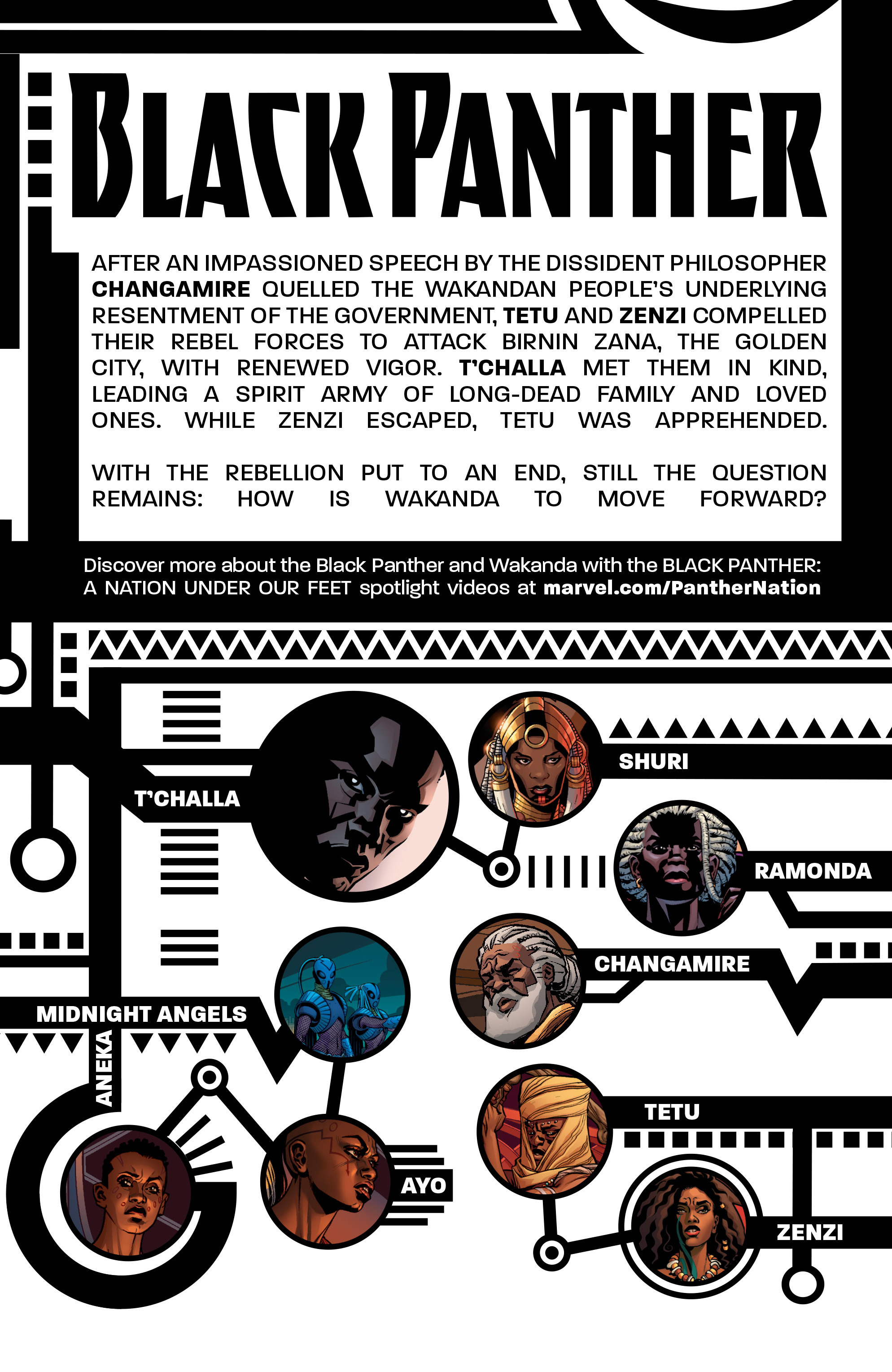 Read online Black Panther (2016) comic -  Issue #12 - 2