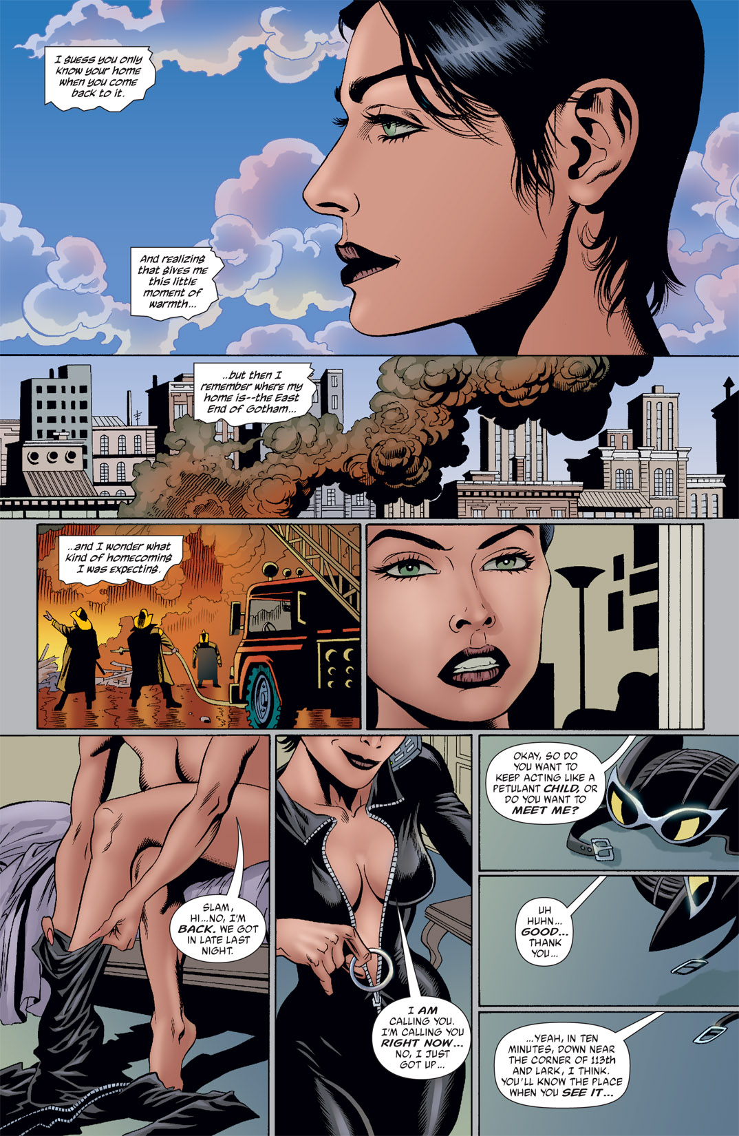 Read online Catwoman (2002) comic -  Issue #25 - 6