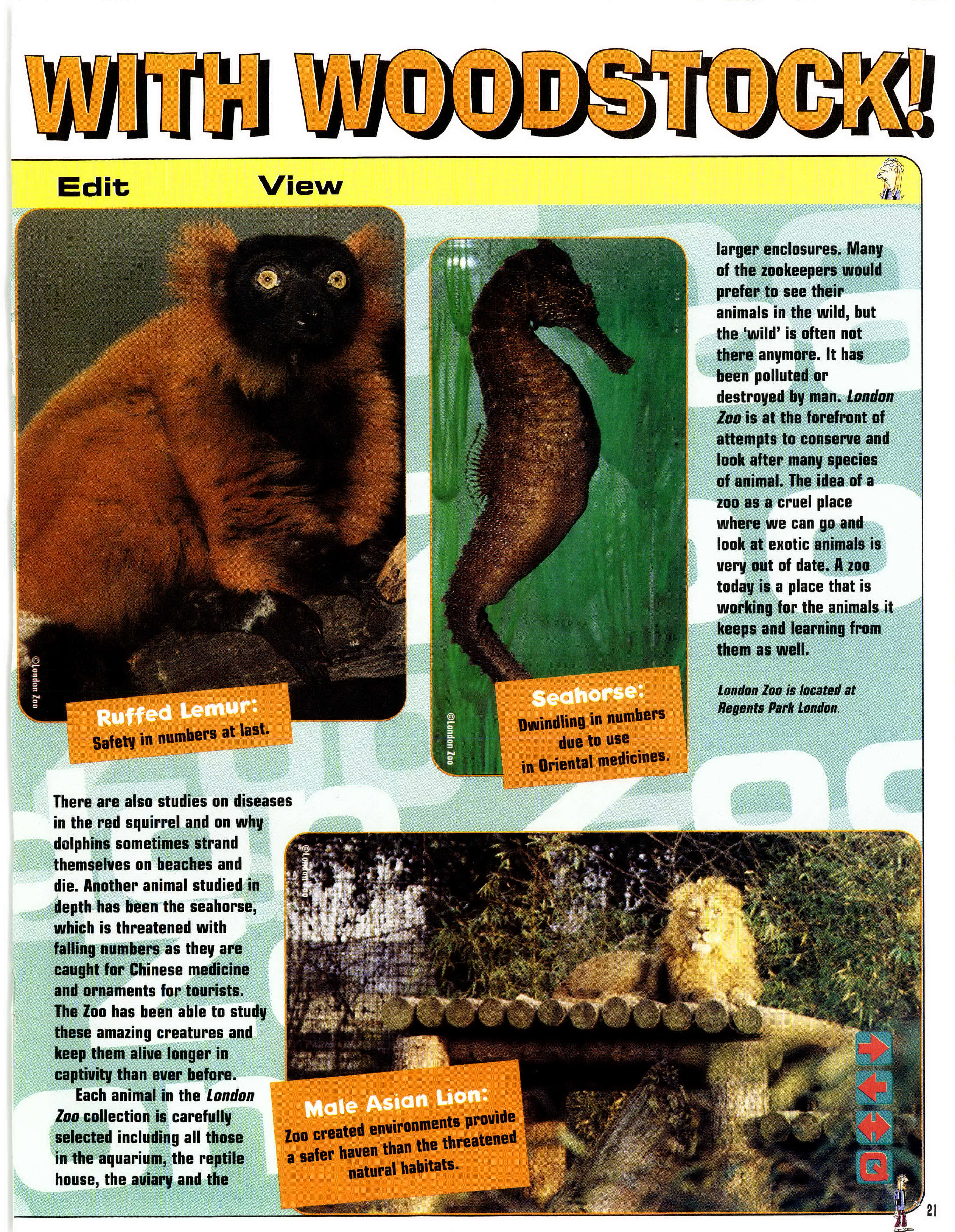 Read online Ace Ventura Pet Detective comic -  Issue #7 - 21