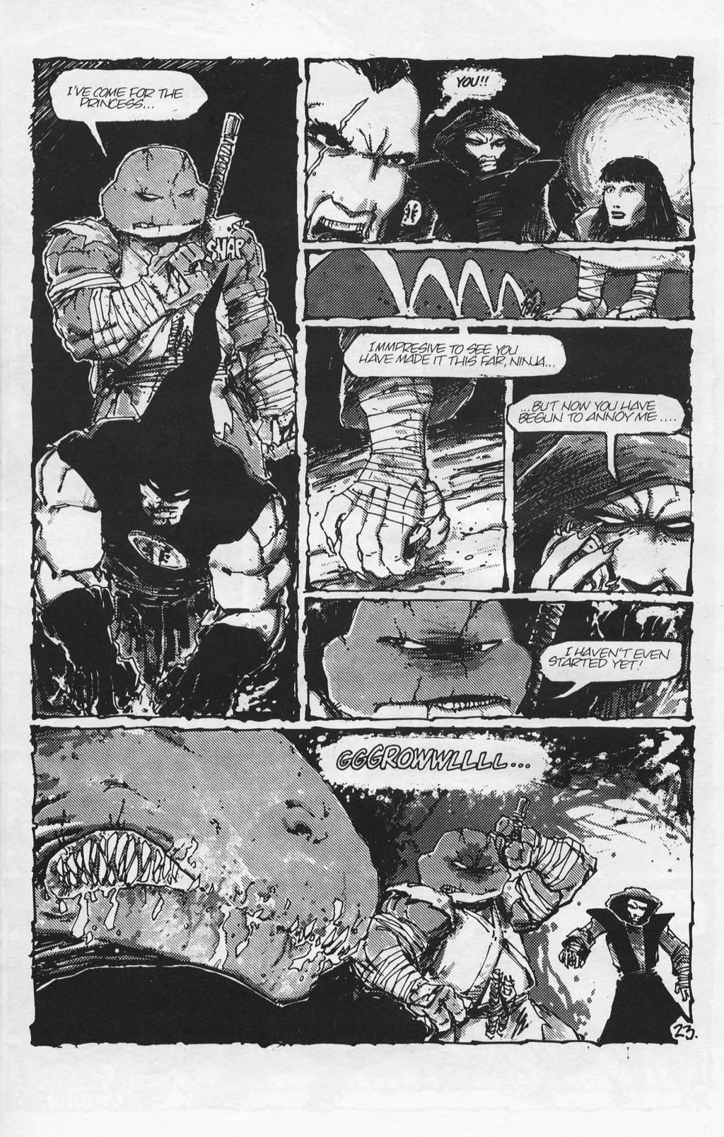 Read online Teenage Mutant Ninja Turtles (1984) comic -  Issue #17 - 25