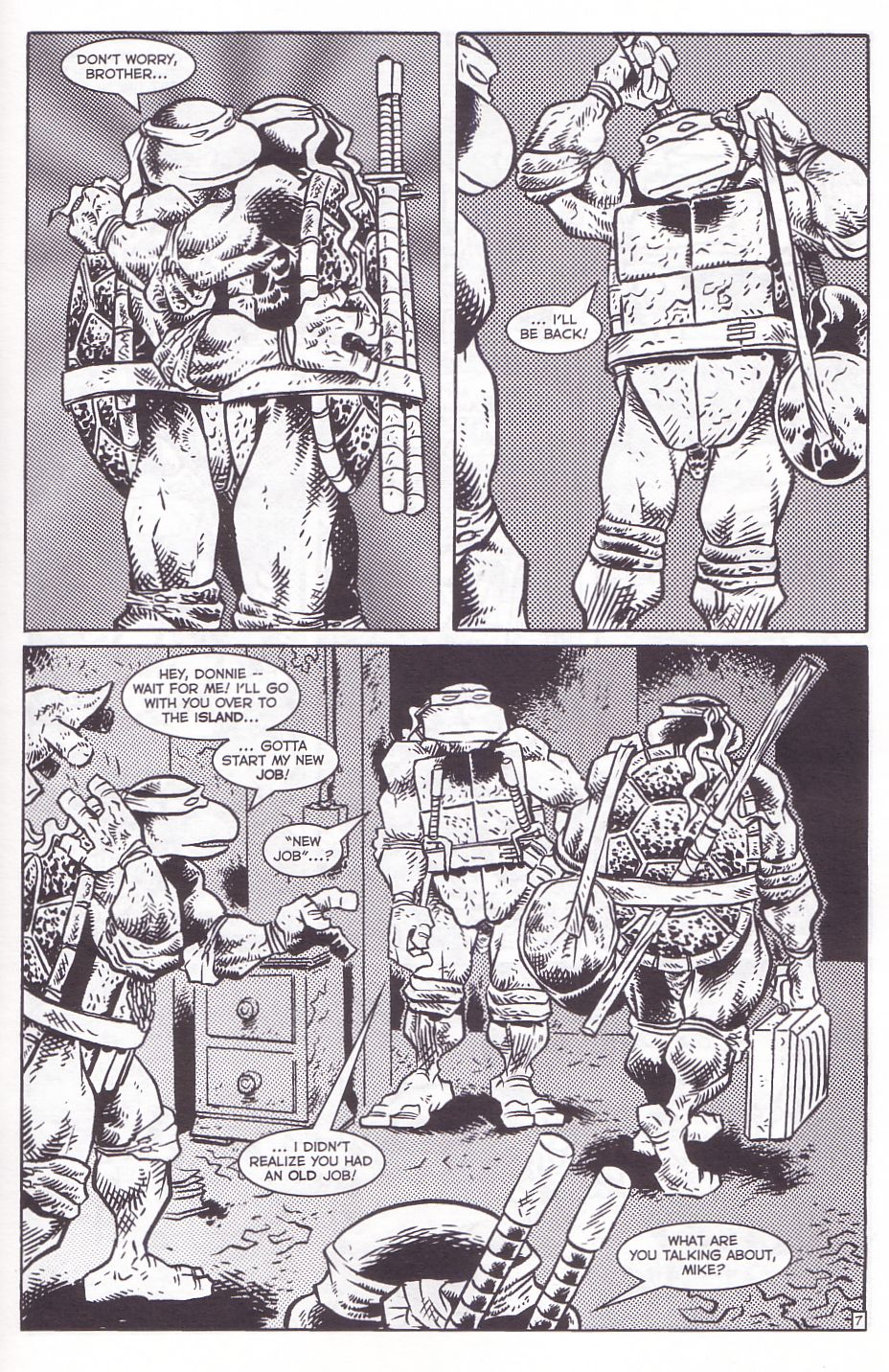 TMNT: Teenage Mutant Ninja Turtles Issue #12 #12 - English 10