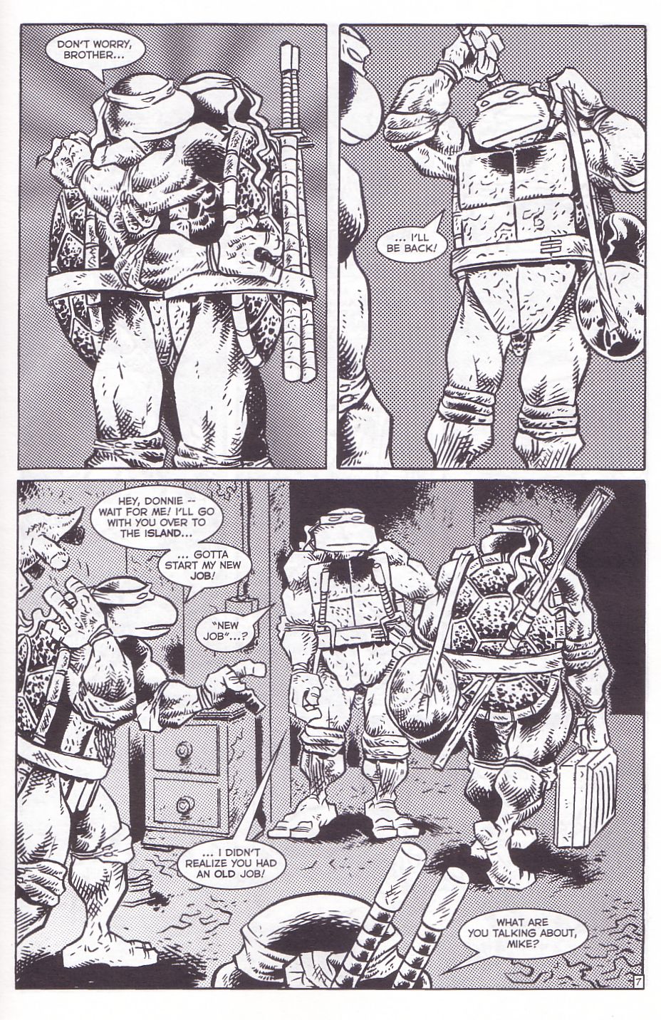 TMNT: Teenage Mutant Ninja Turtles issue 12 - Page 10